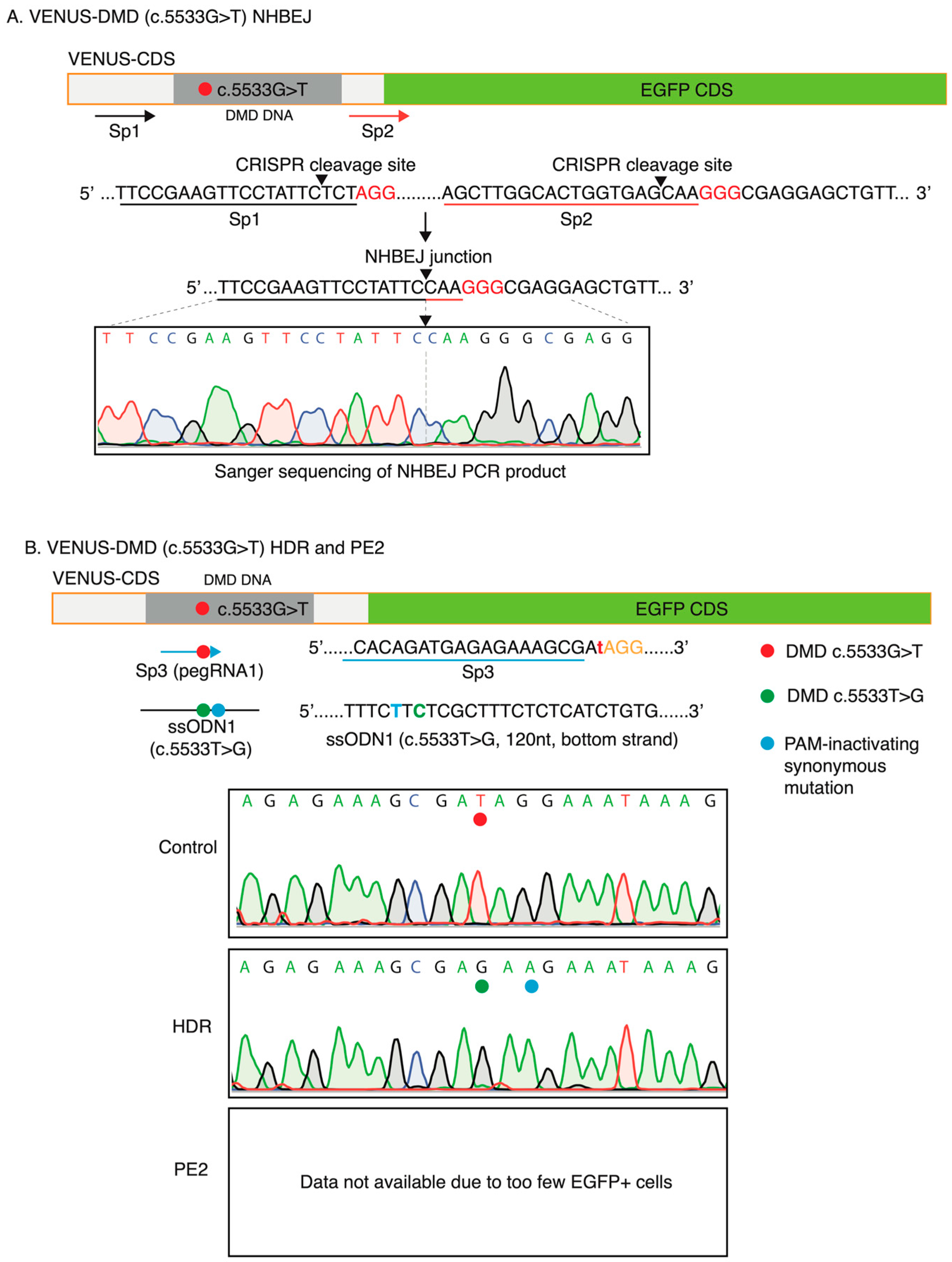 Biomolecules 13 00870 g004