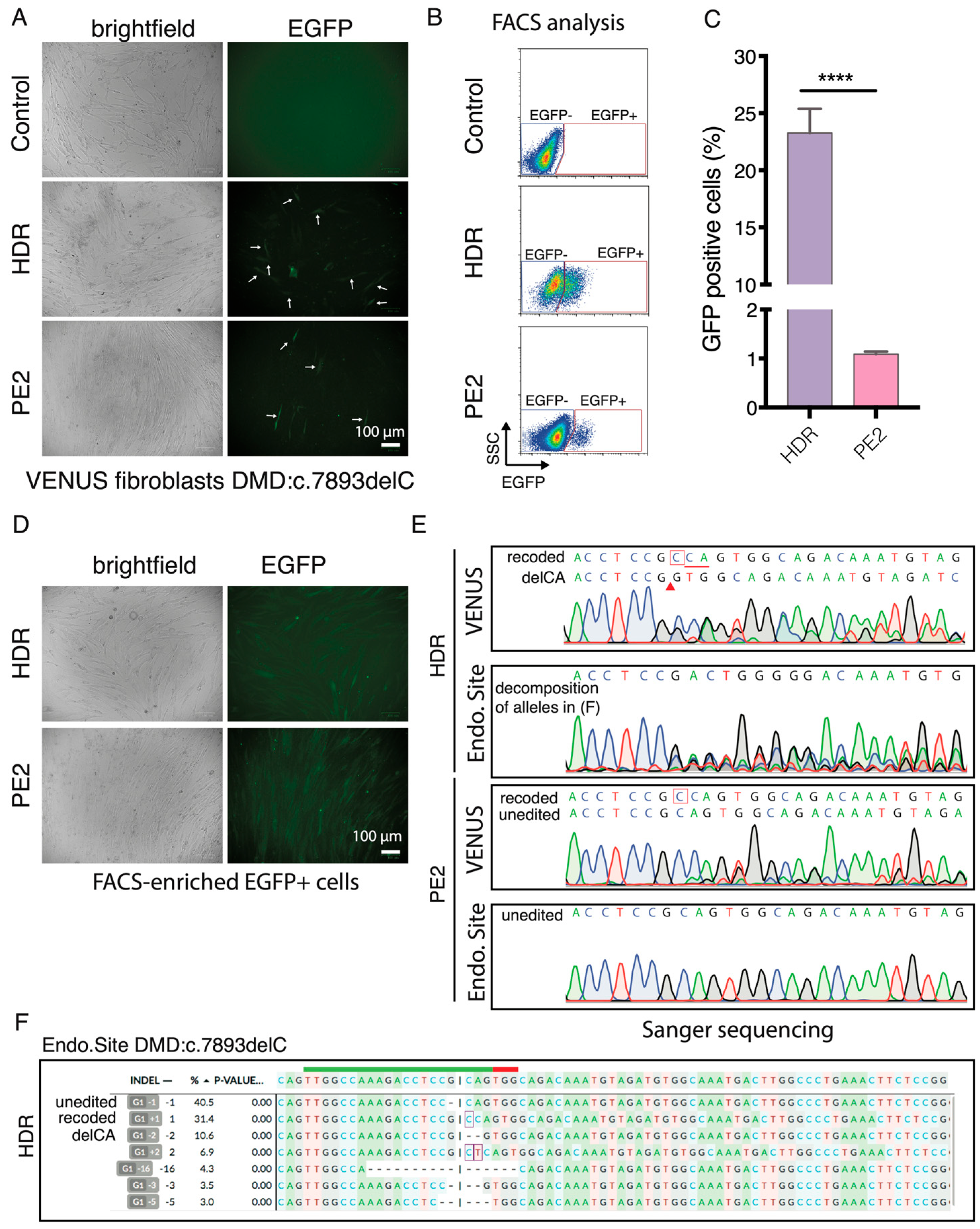 Biomolecules 13 00870 g006