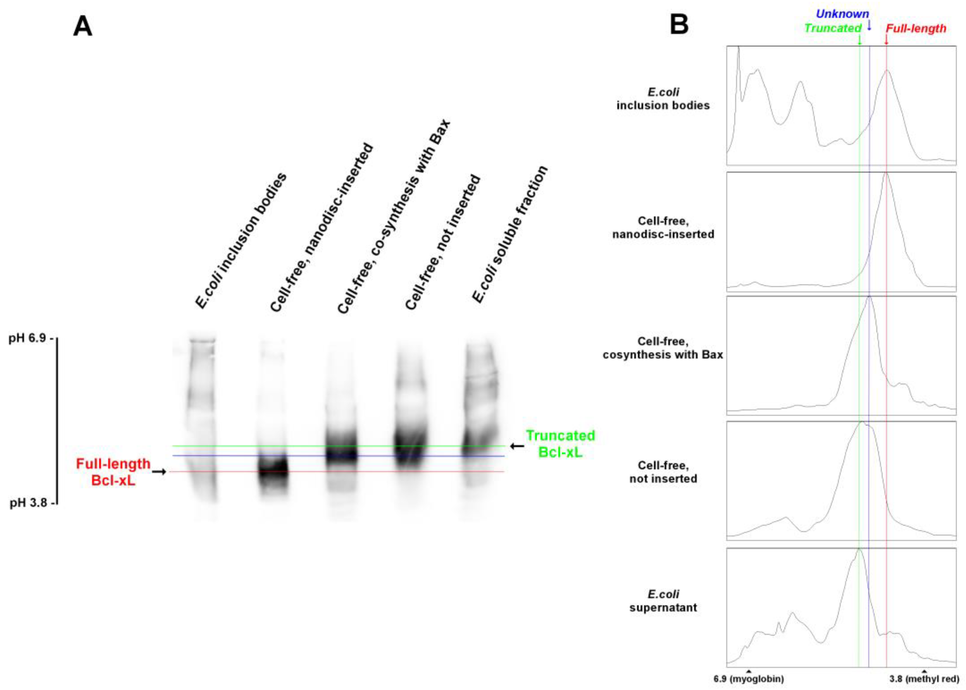 Biomolecules 13 00876 g002