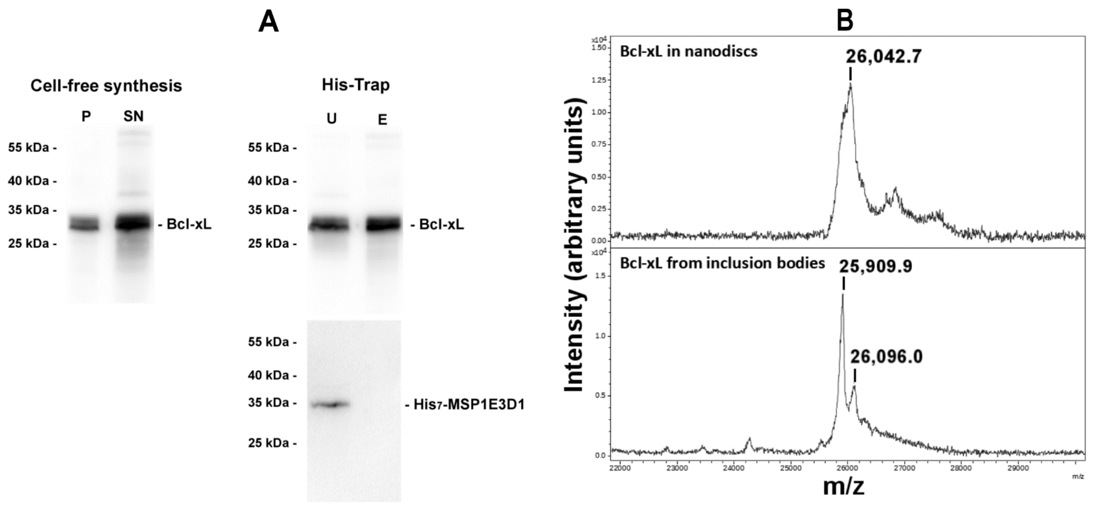 Biomolecules 13 00876 g003
