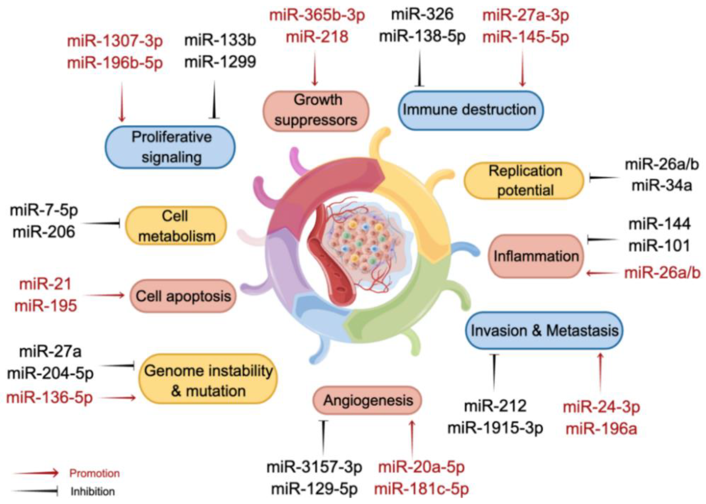 Biomolecules 13 00877 g002