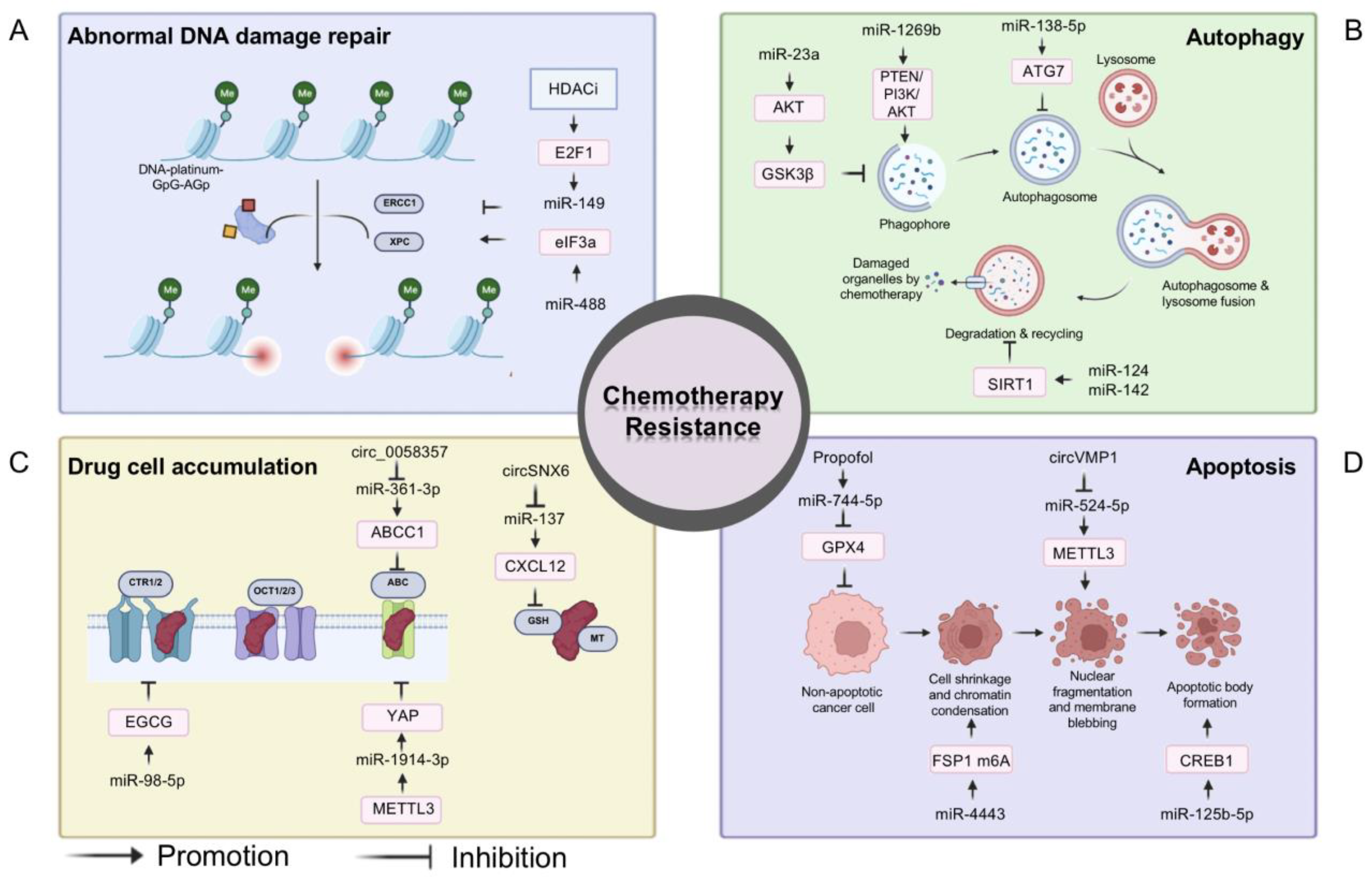 Biomolecules 13 00877 g003