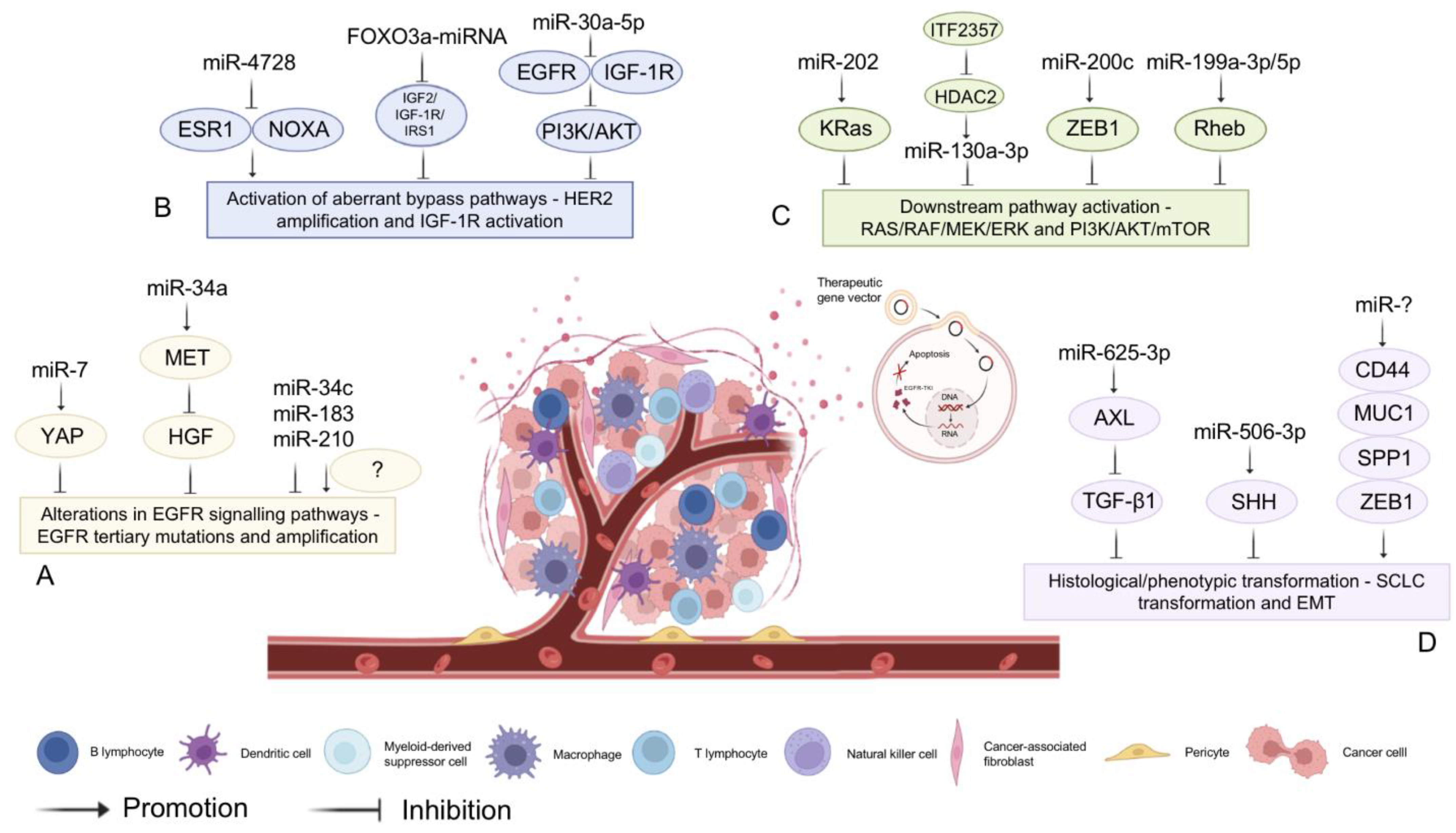 Biomolecules 13 00877 g005