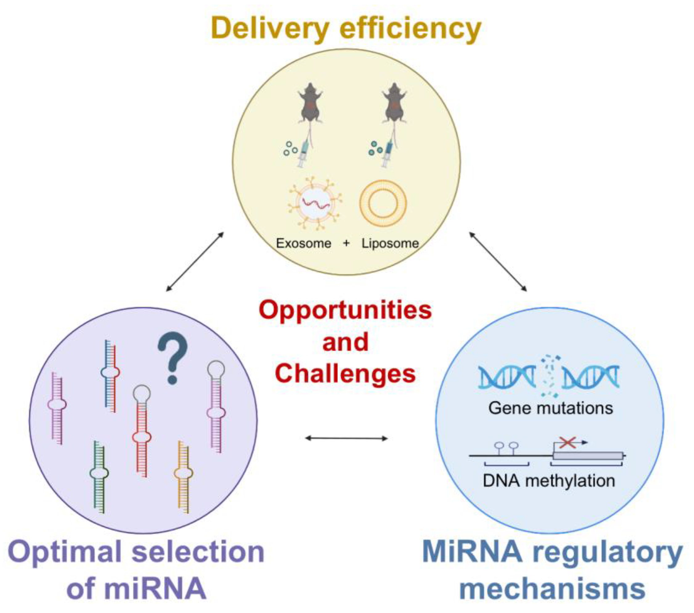 Biomolecules 13 00877 g007