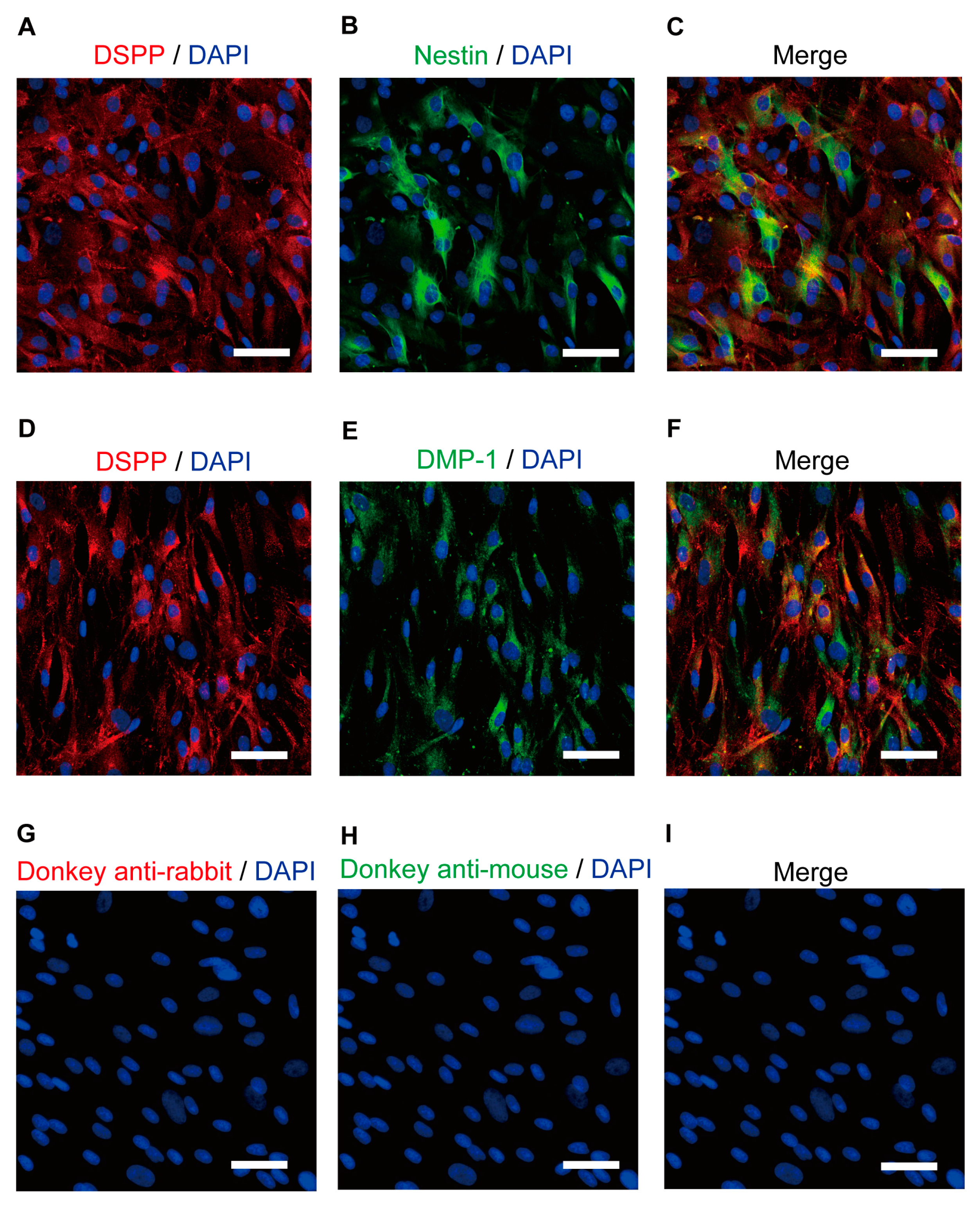 Biomolecules 13 00879 g001