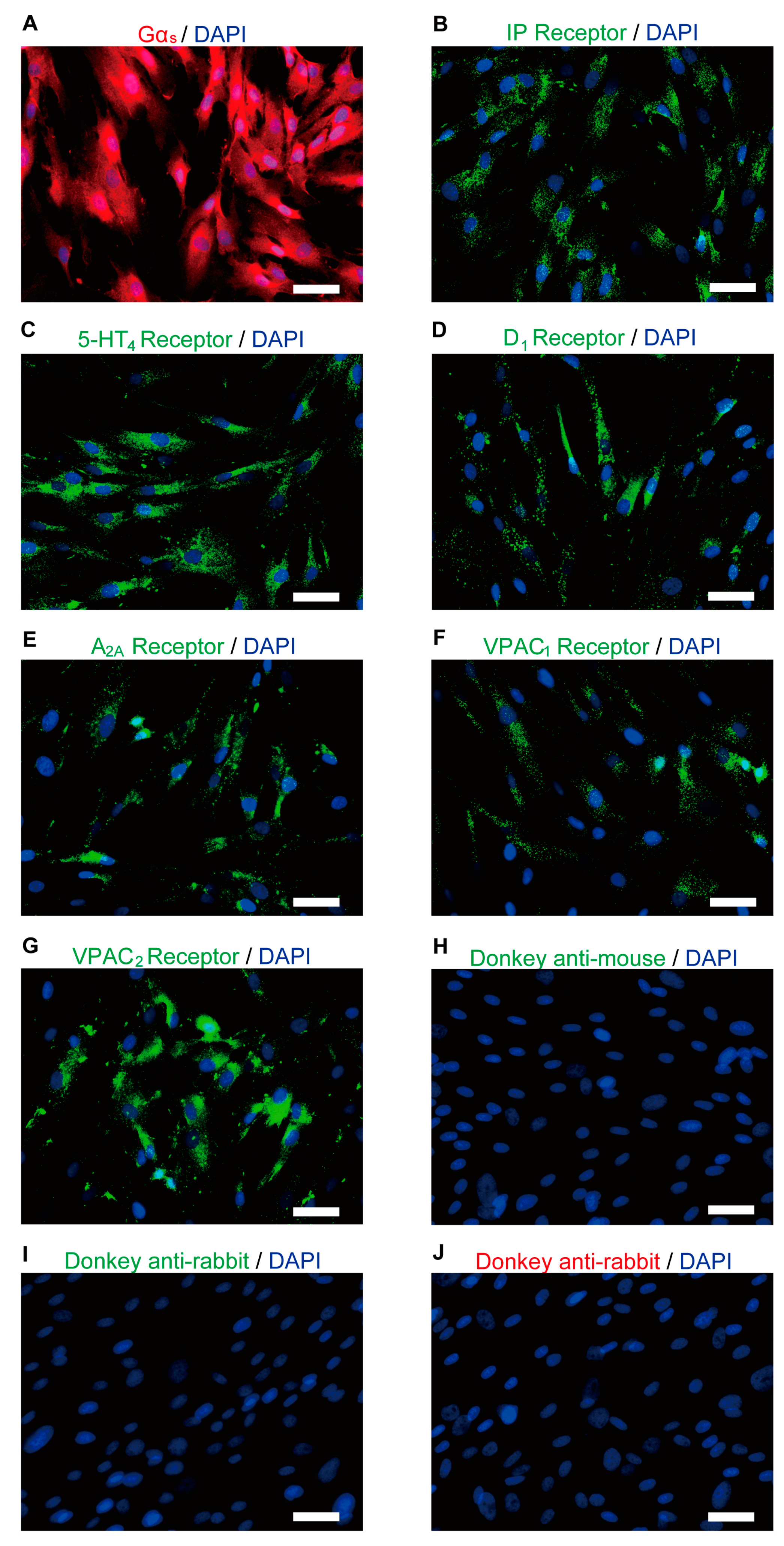 Biomolecules 13 00879 g002