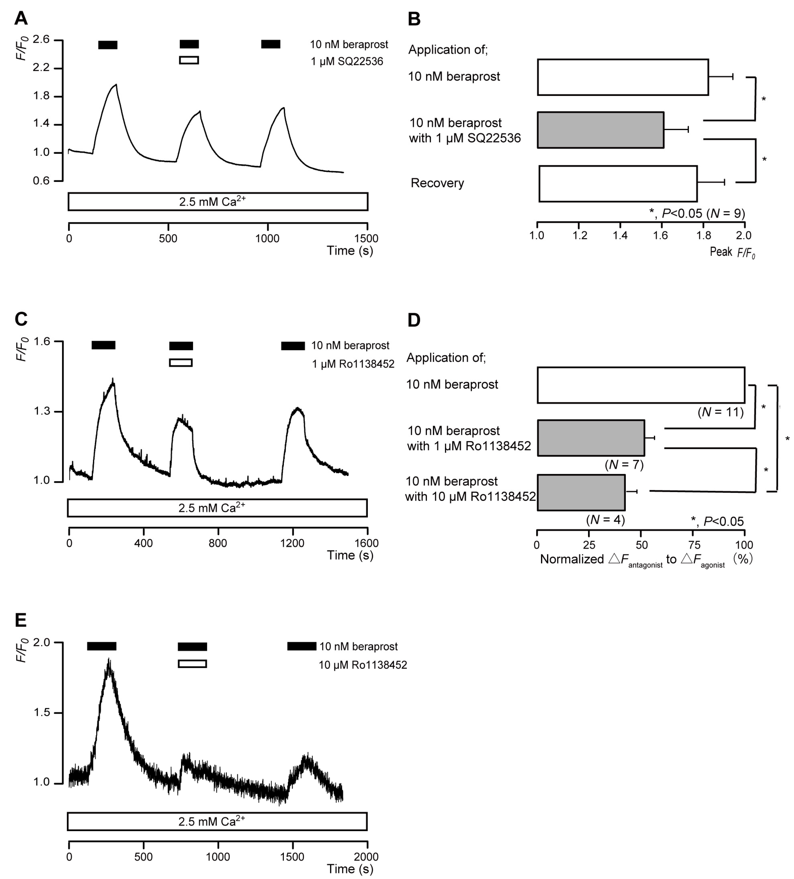 Biomolecules 13 00879 g003