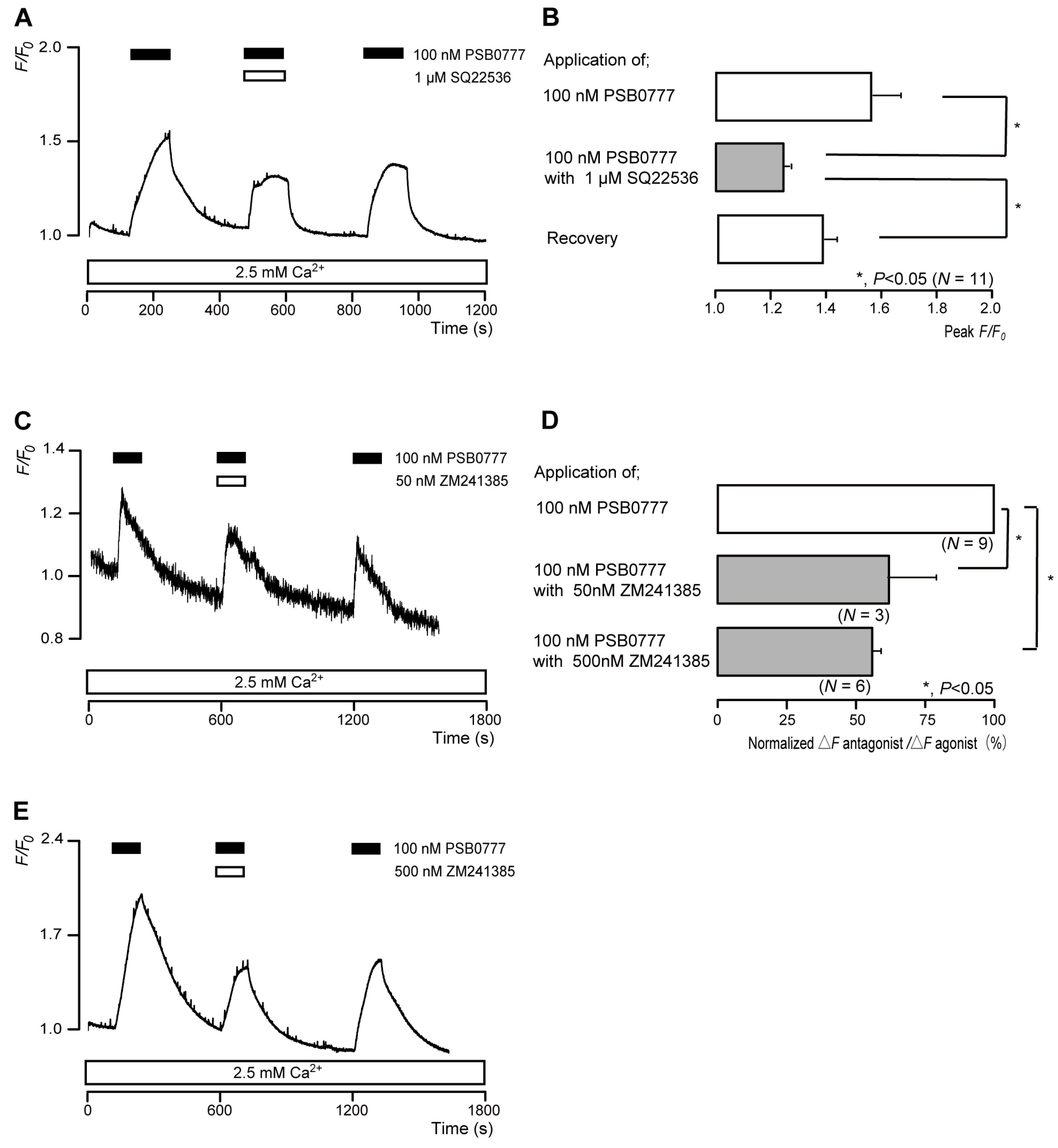 Biomolecules 13 00879 g006