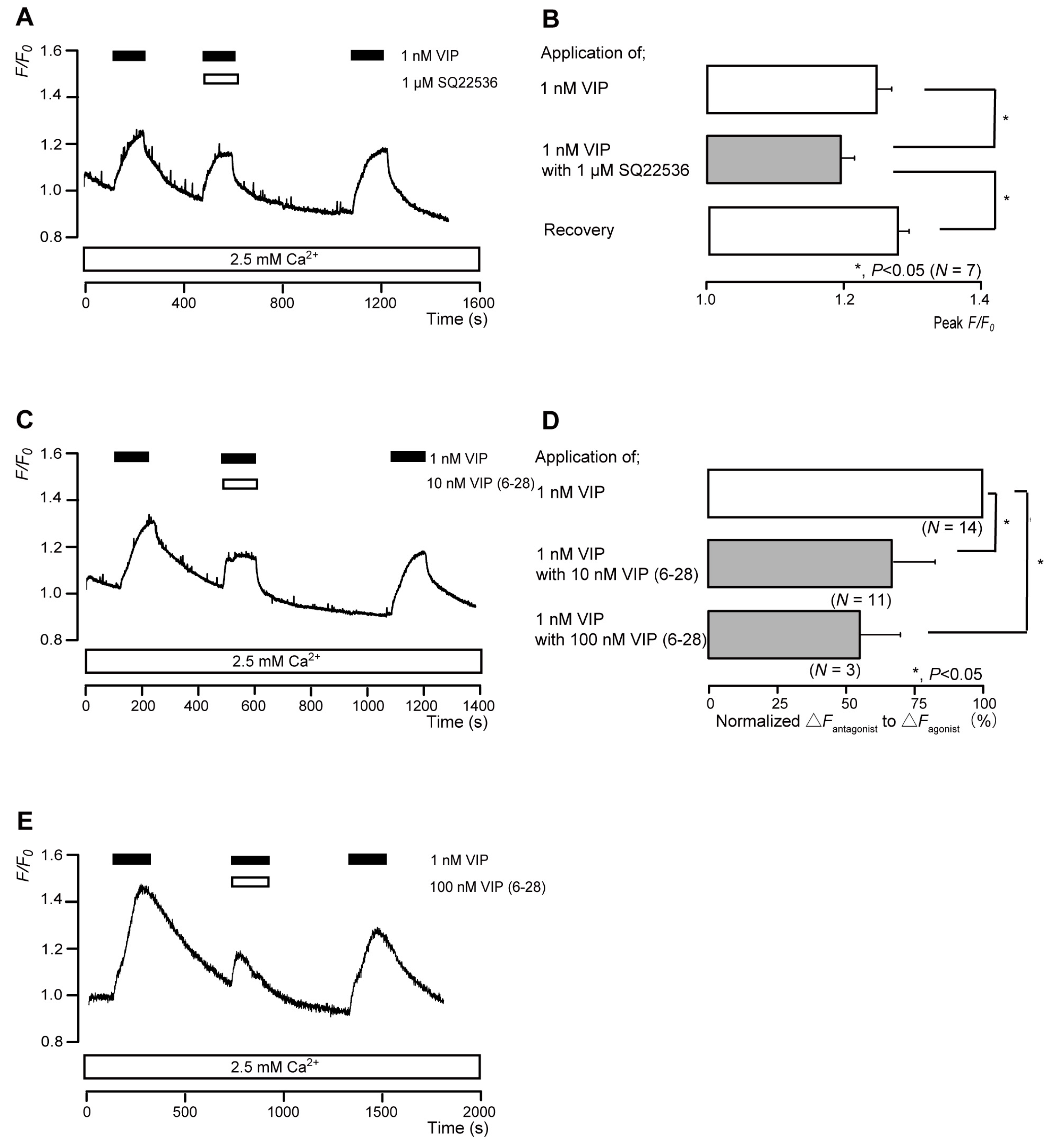 Biomolecules 13 00879 g007