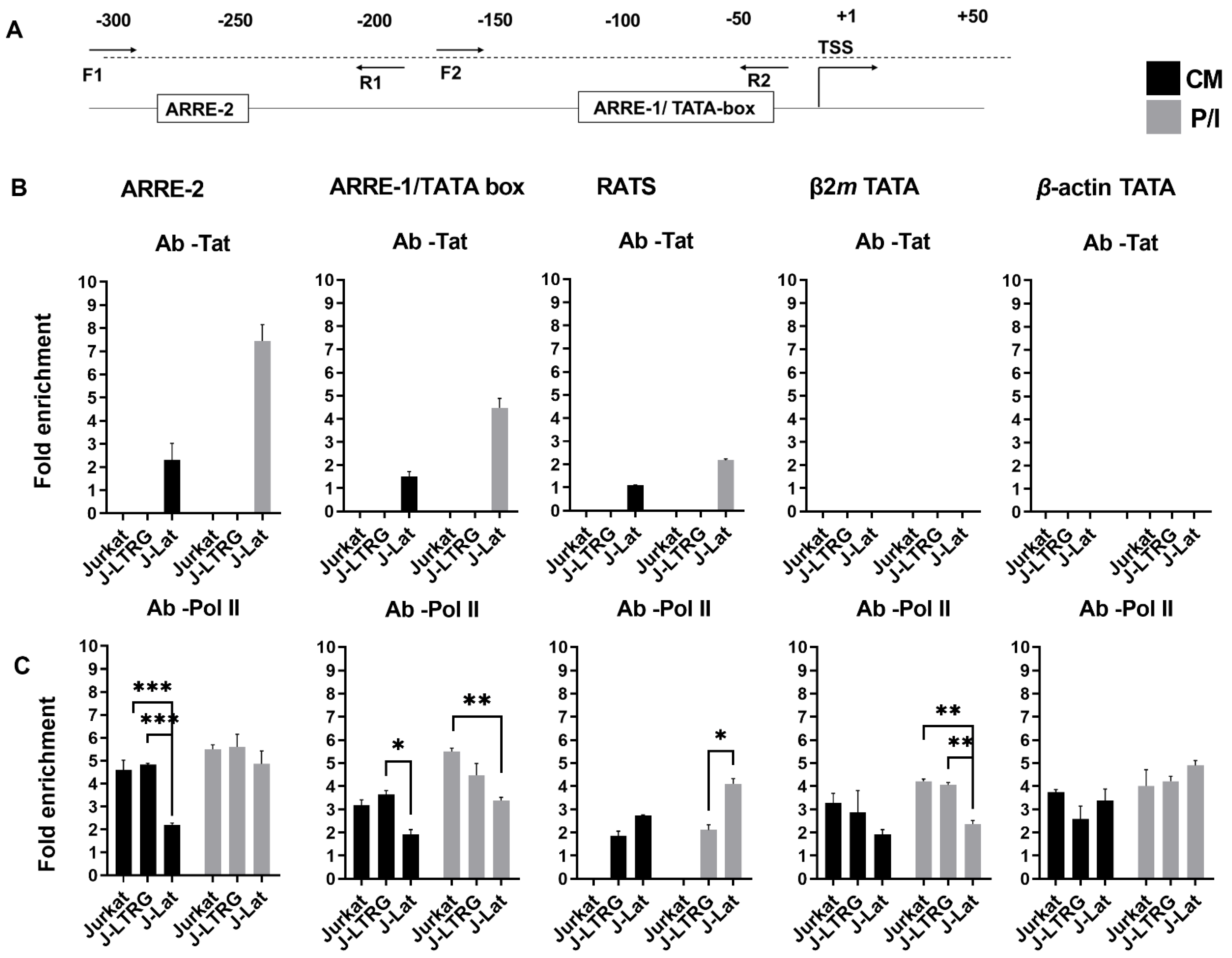 Biomolecules 13 00881 g003 Biomolecules 13 00881 g003