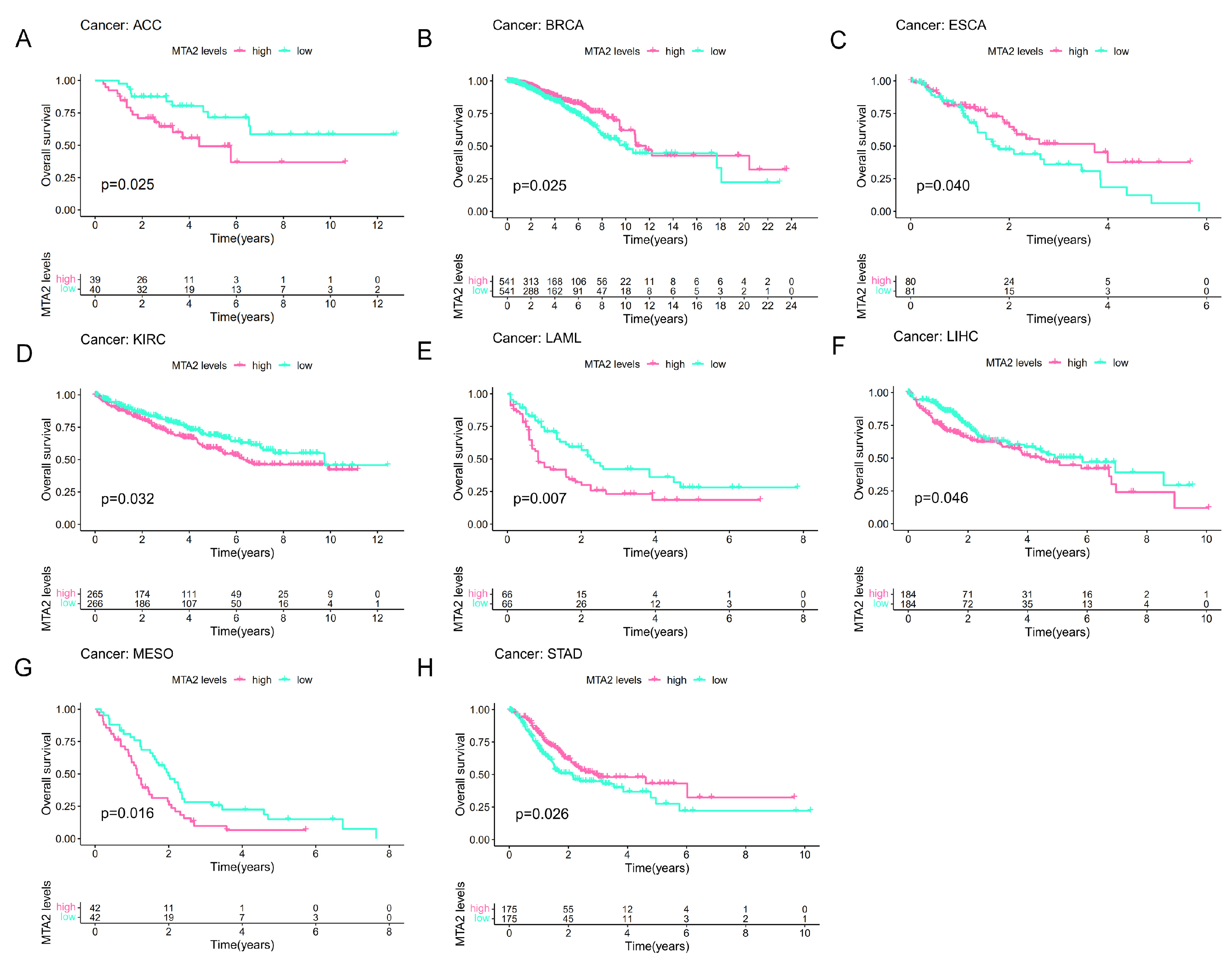 Biomolecules 13 00883 g004