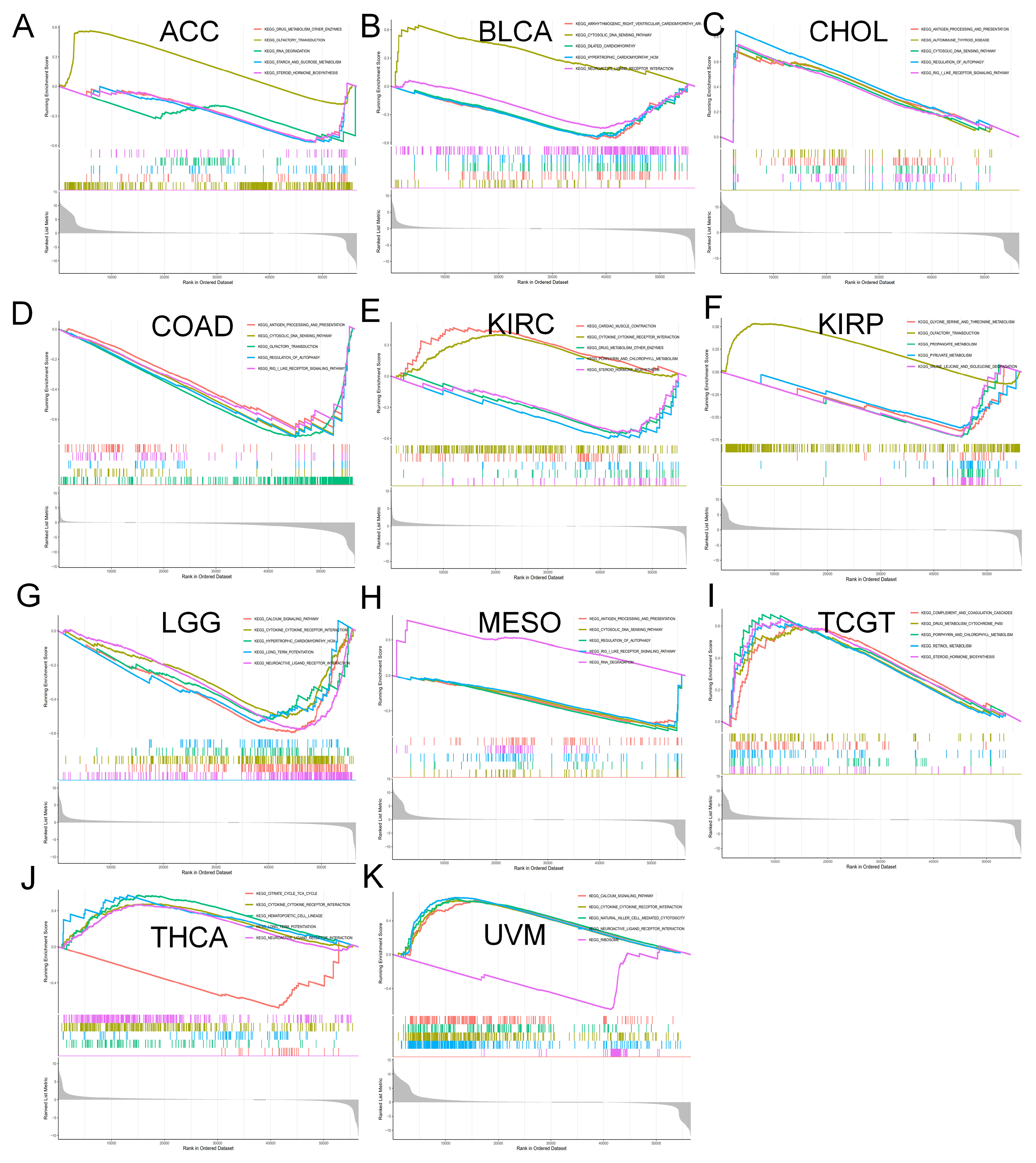 Biomolecules 13 00883 g012