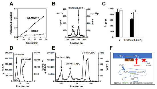 Biomolecules 13 00885 g002