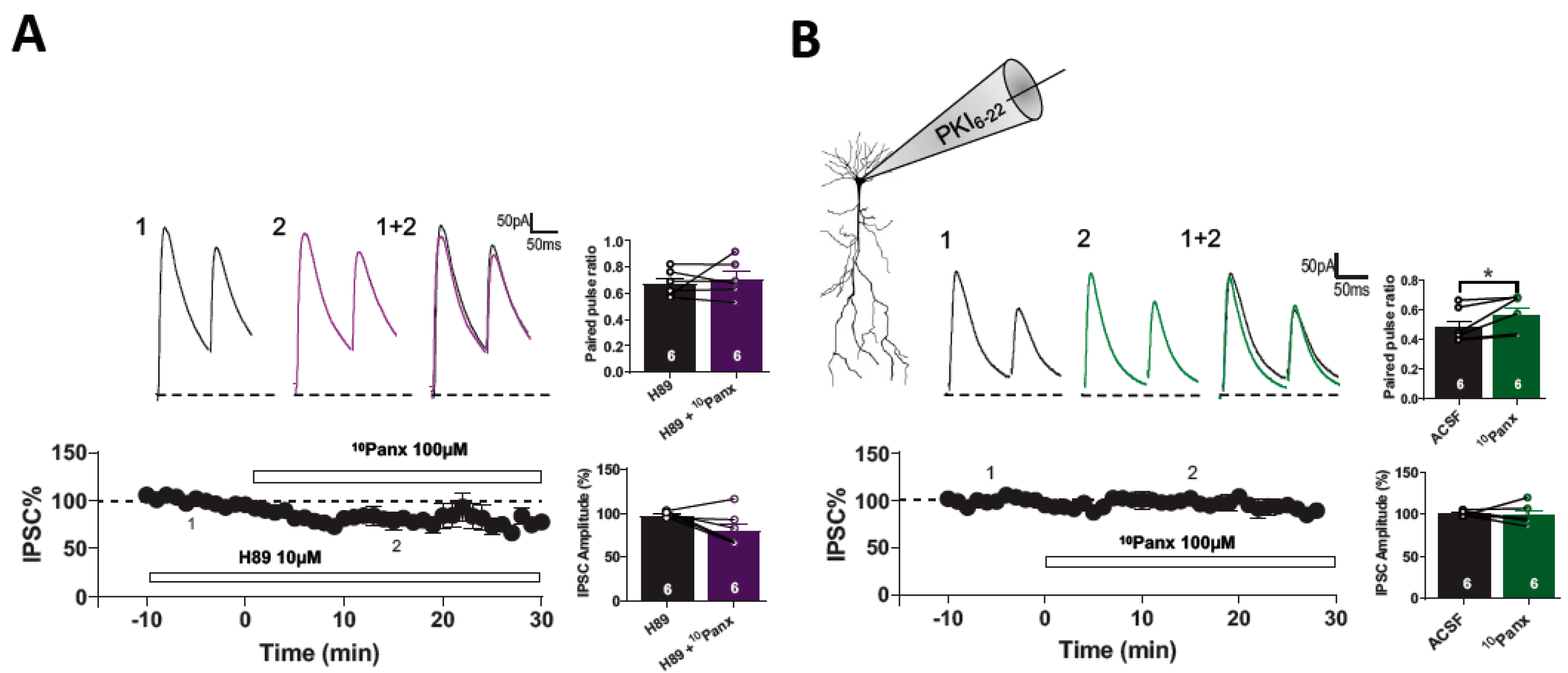 Biomolecules 13 00887 g004