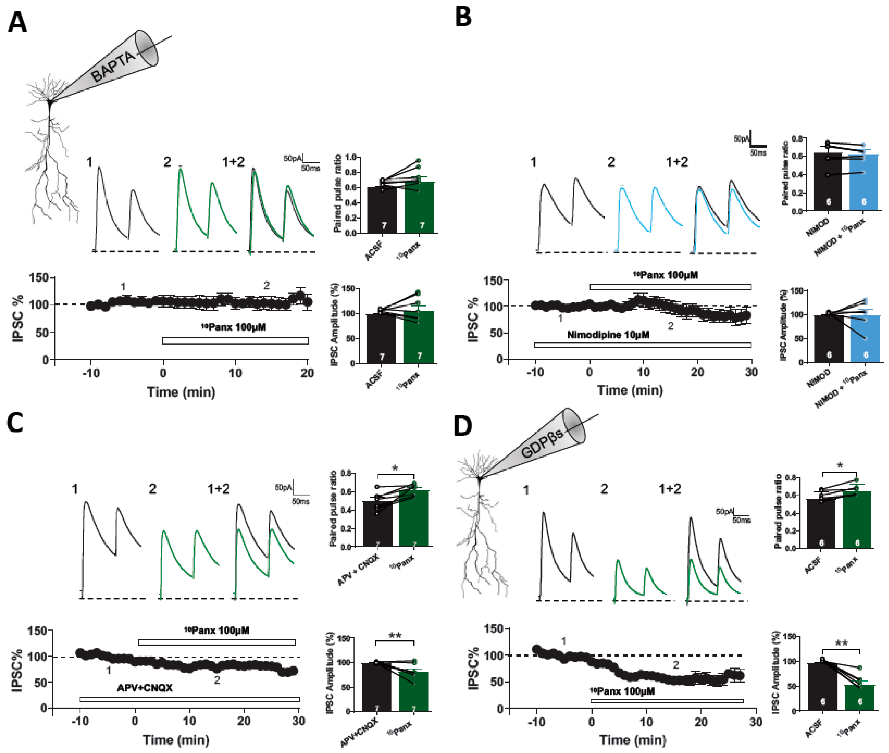 Biomolecules 13 00887 g005