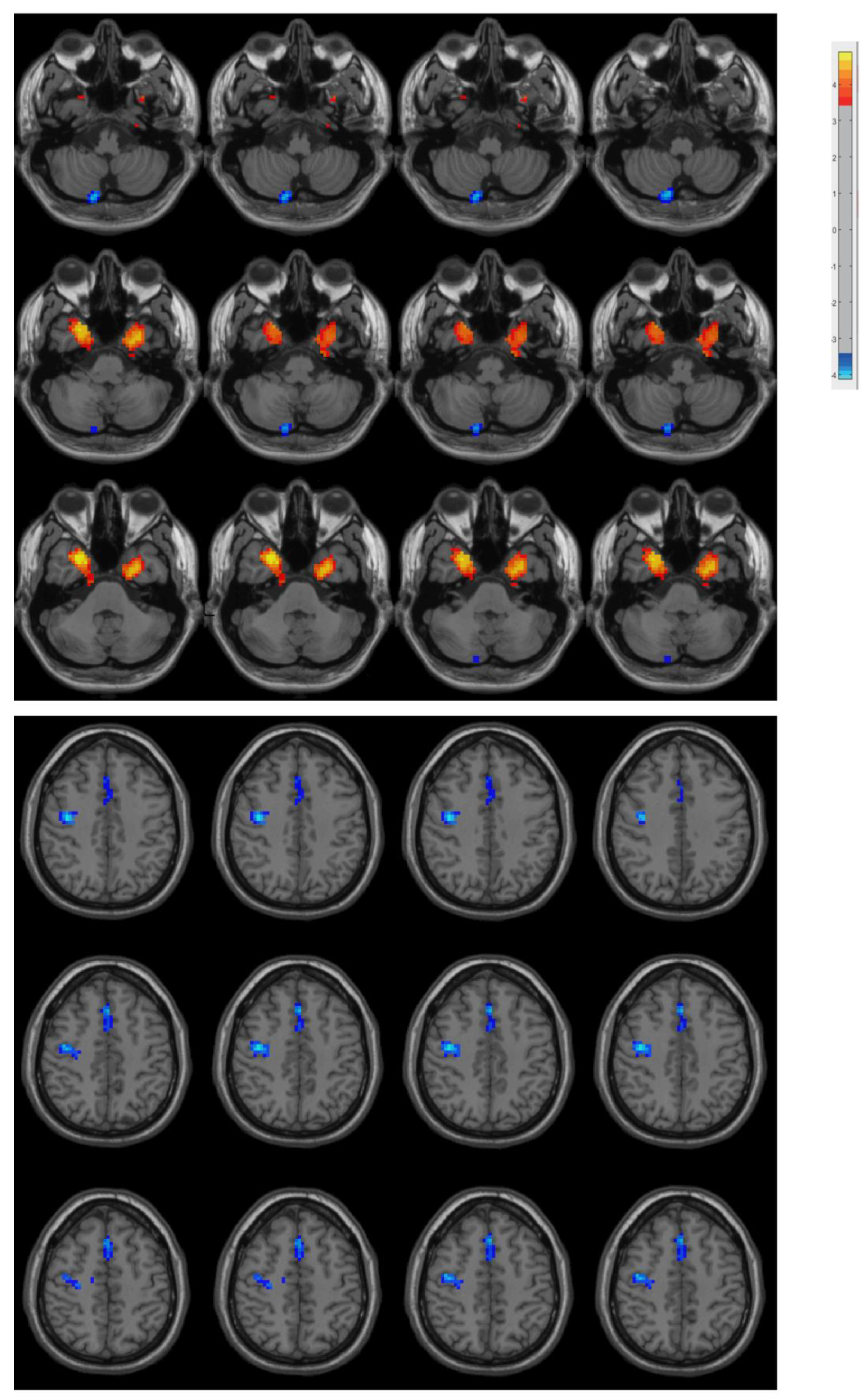 Biomolecules 13 00888 g001