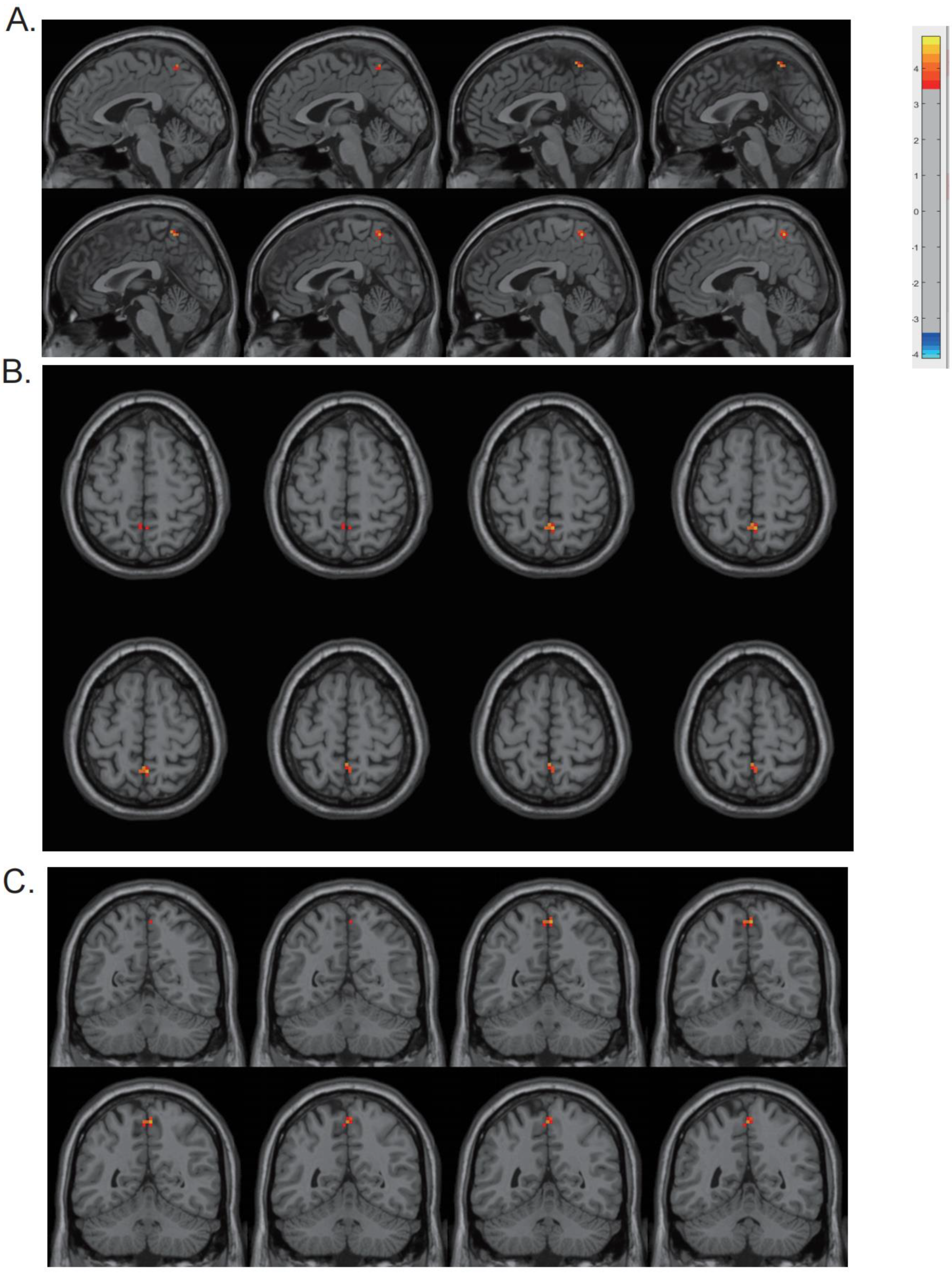 Biomolecules 13 00888 g002