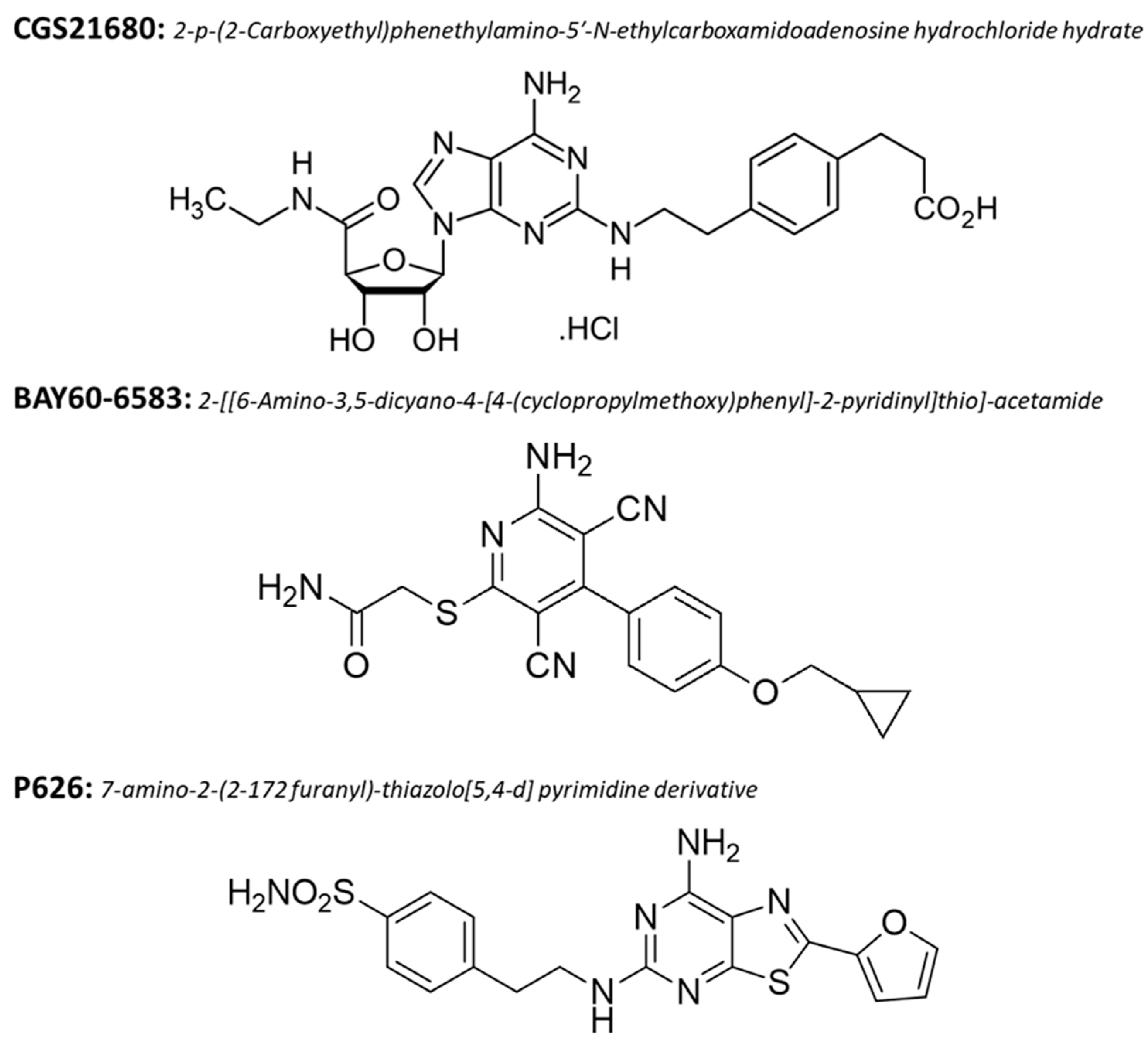 Biomolecules 13 00894 g002