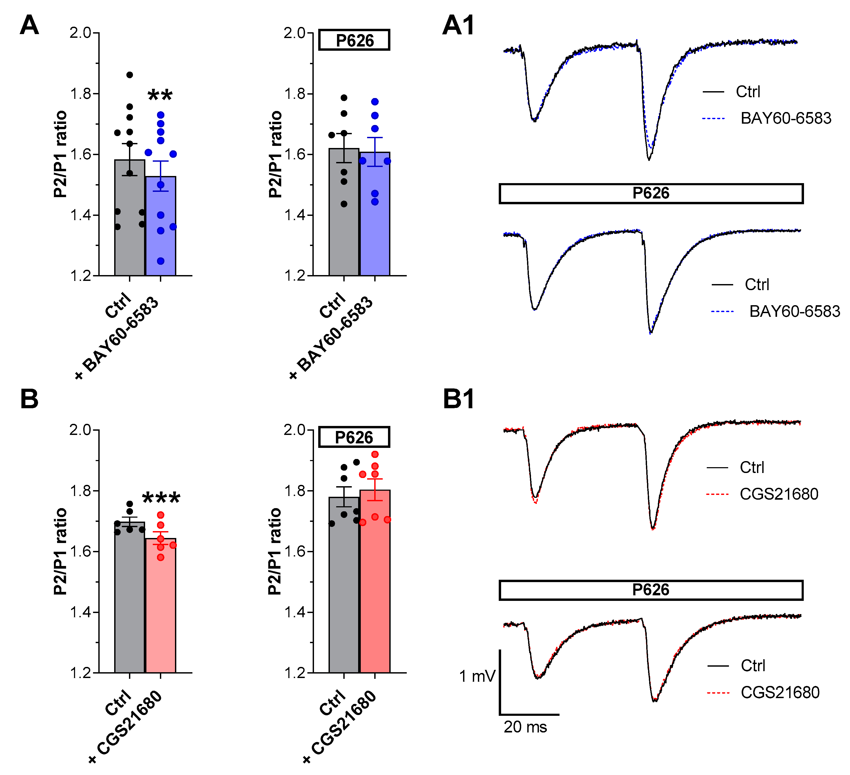 Biomolecules 13 00894 g004