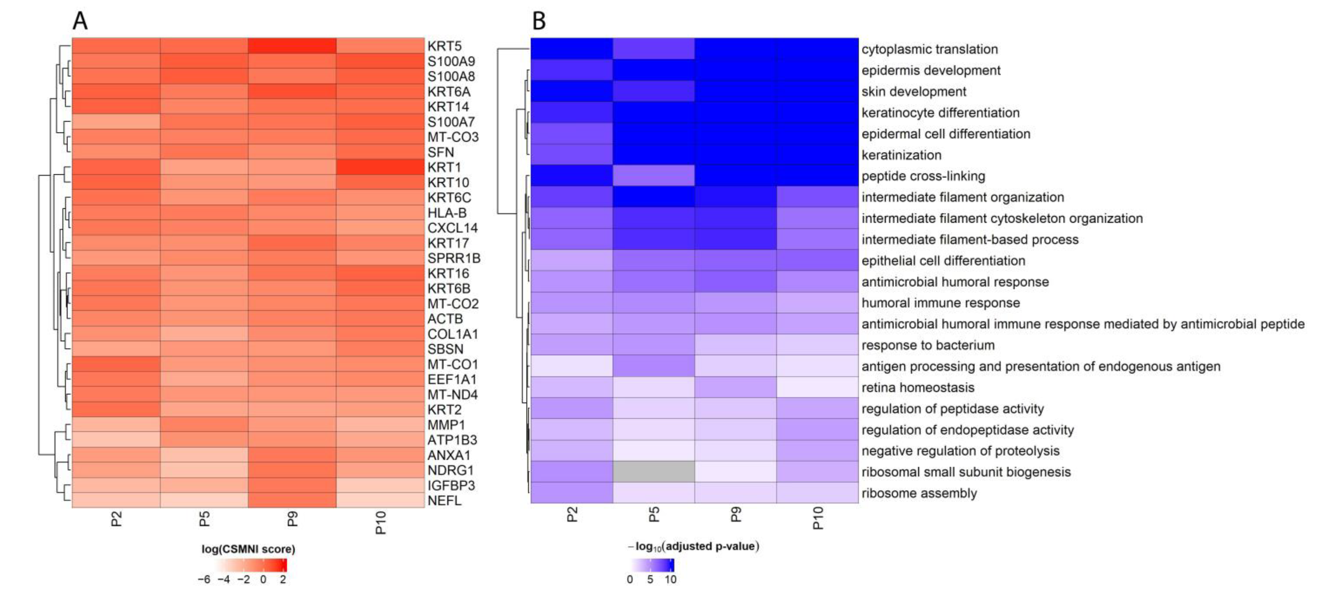 Biomolecules 13 00895 g004