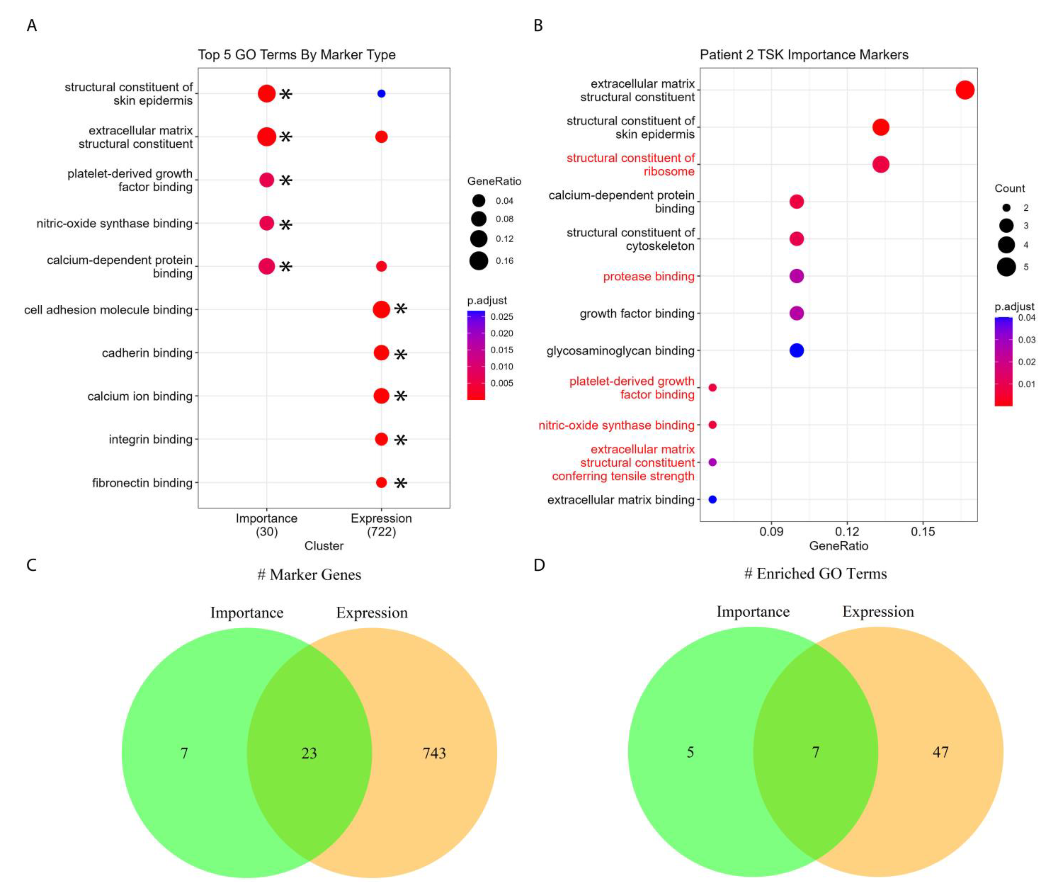 Biomolecules 13 00895 g005