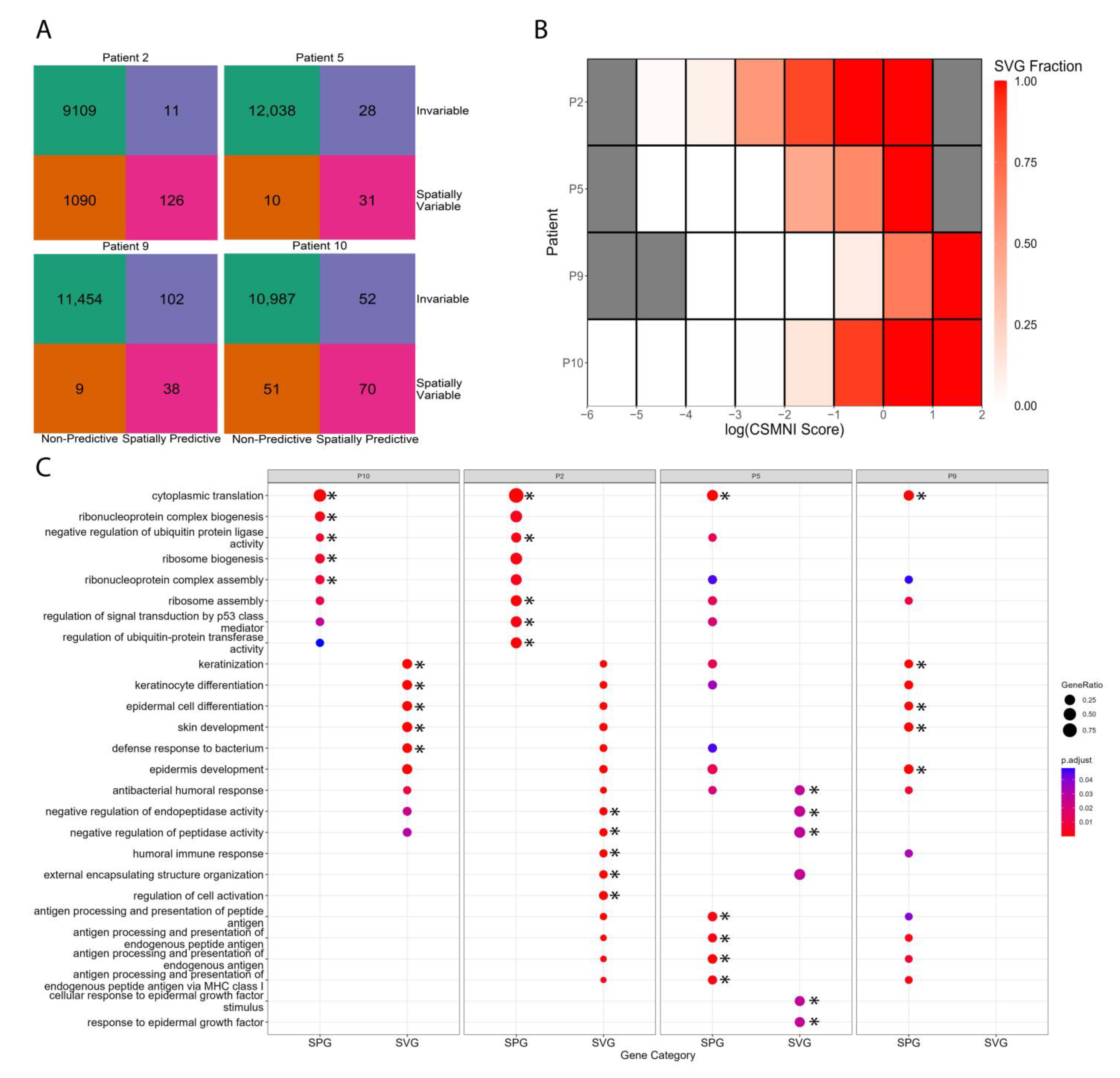 Biomolecules 13 00895 g006