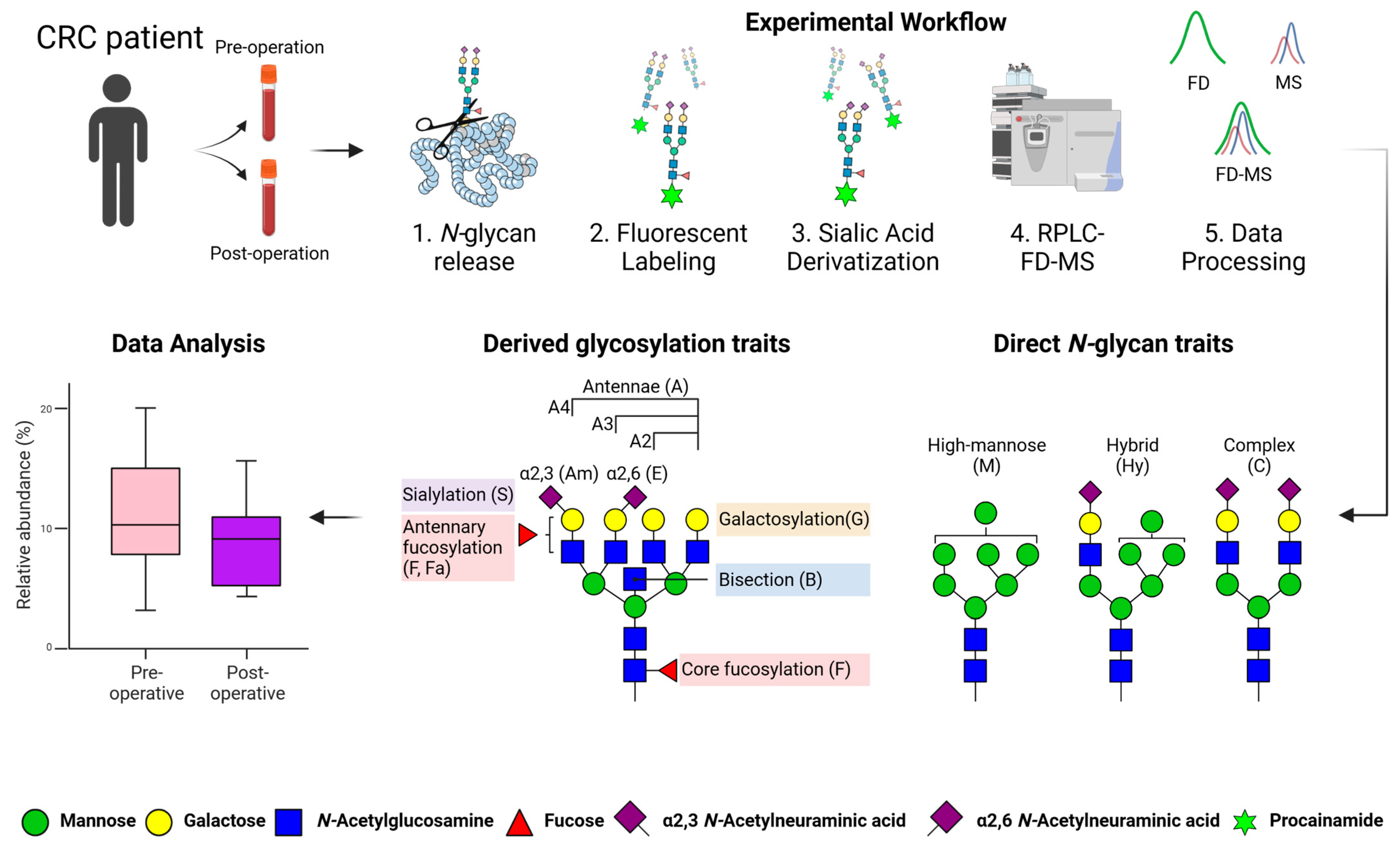 Biomolecules 13 00896 g001