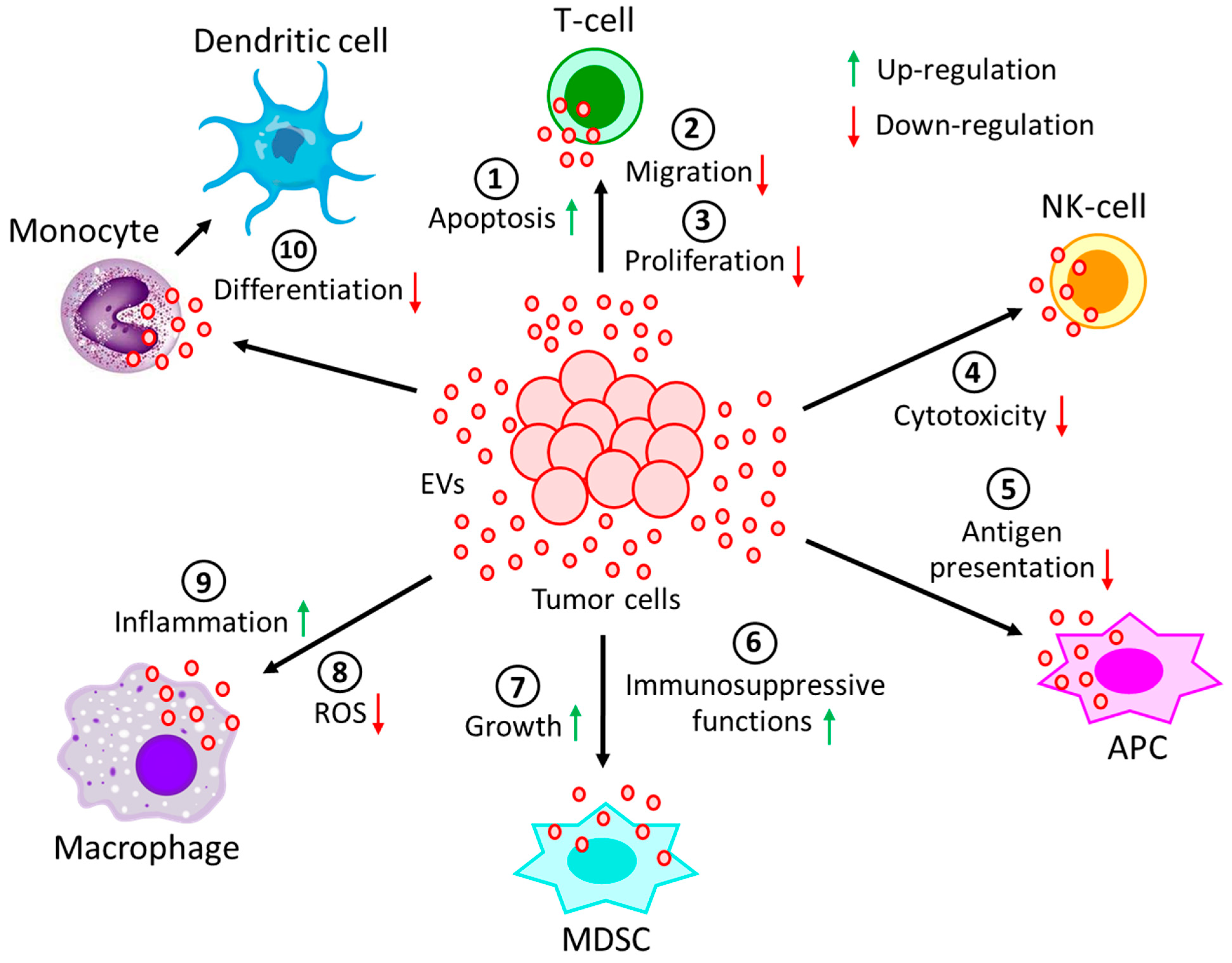 Biomolecules 13 00897 g002