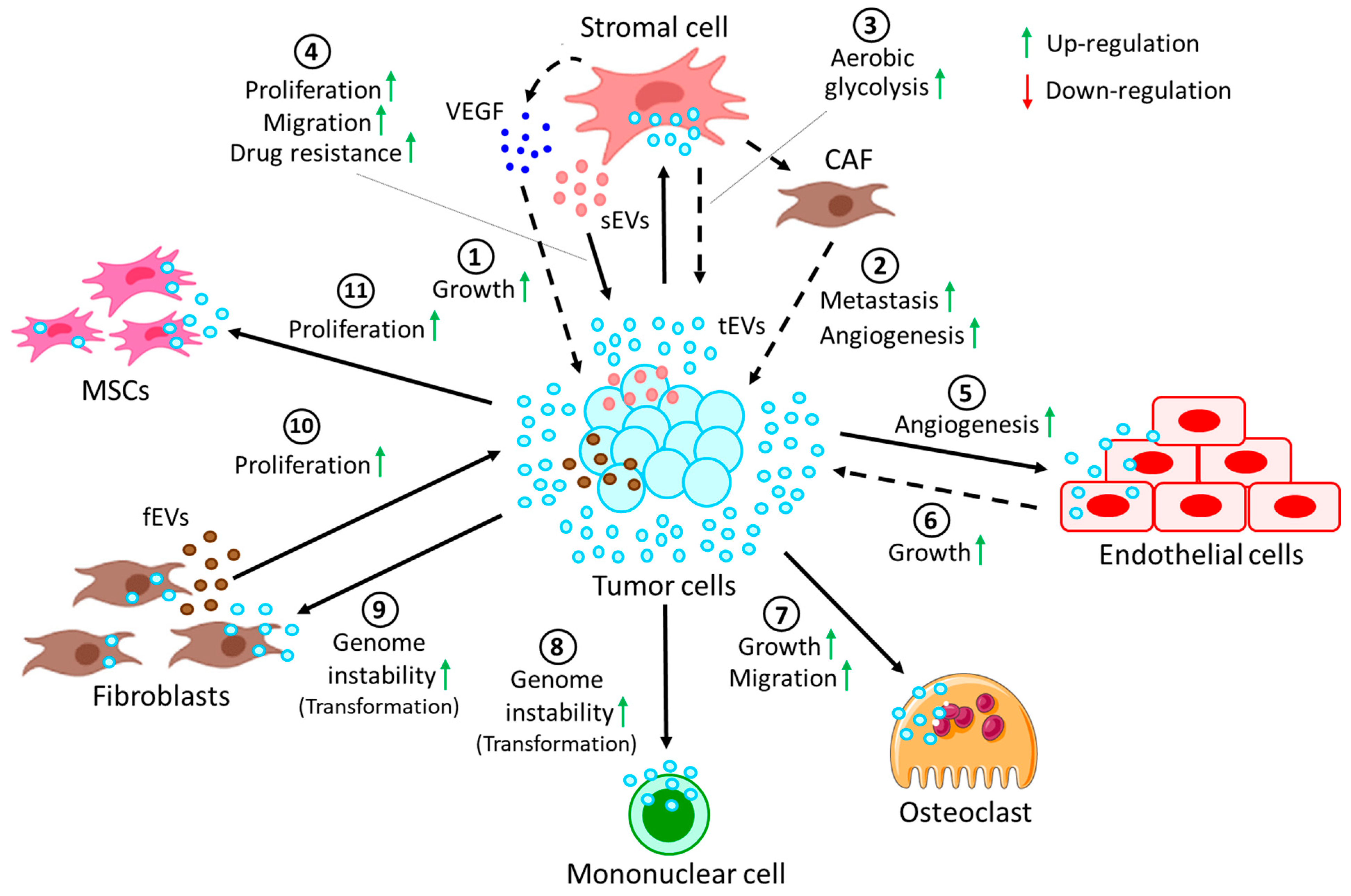 Biomolecules 13 00897 g003