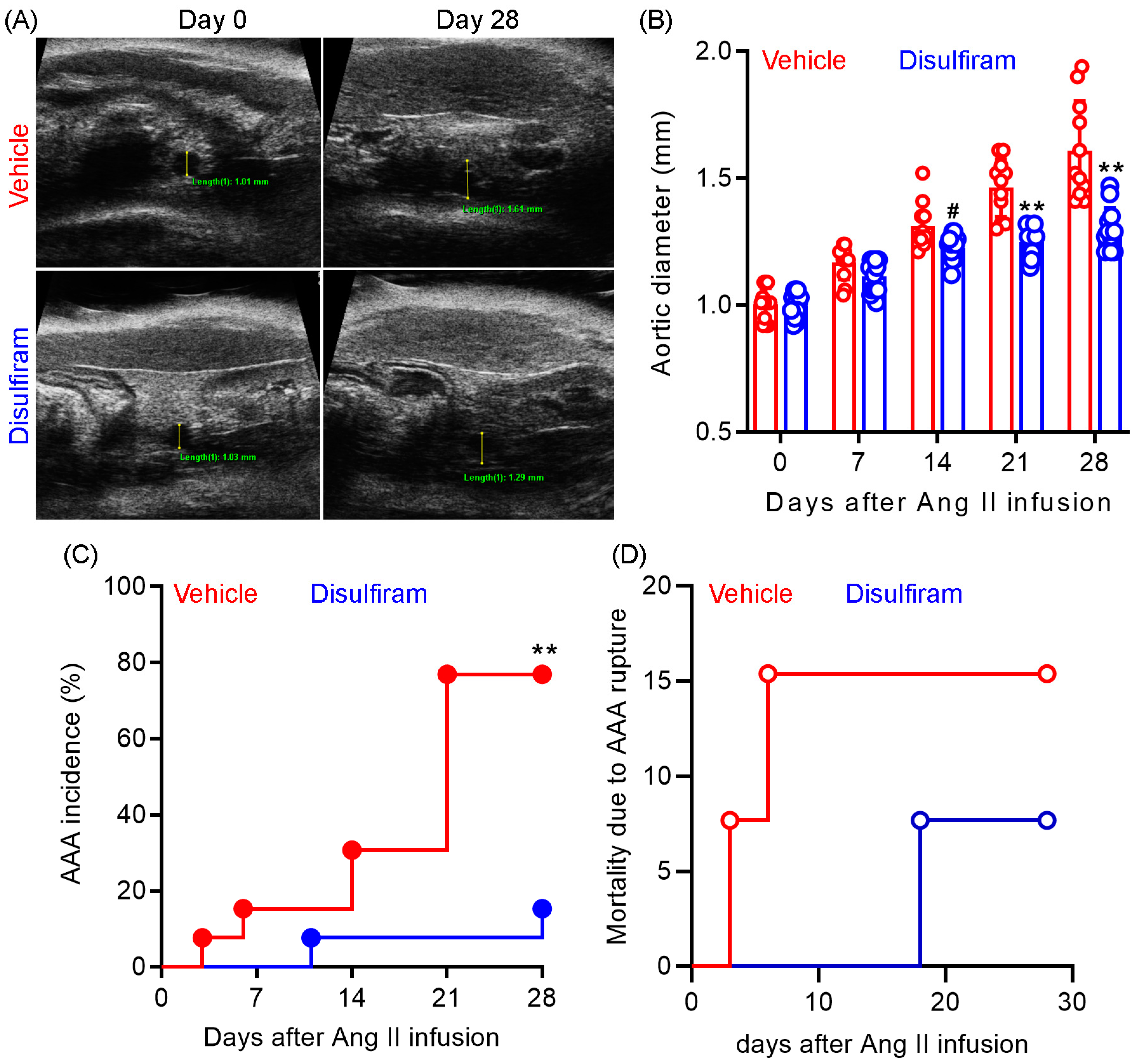 Biomolecules 13 00899 g001