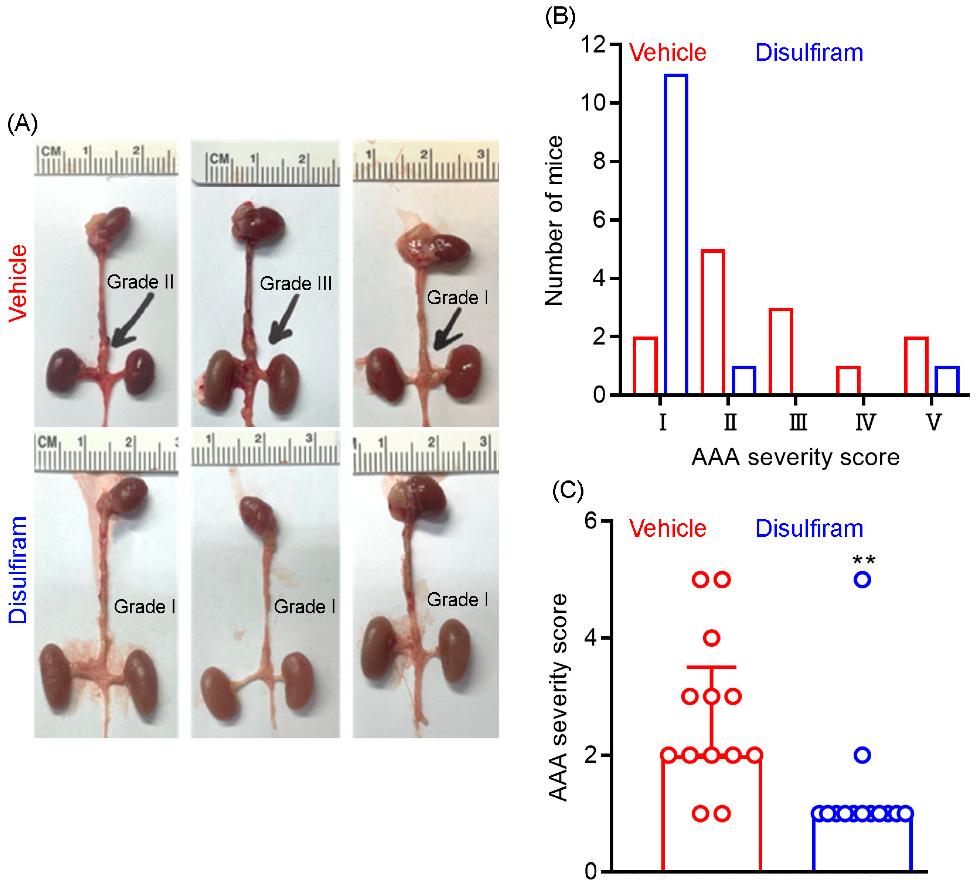 Biomolecules 13 00899 g002