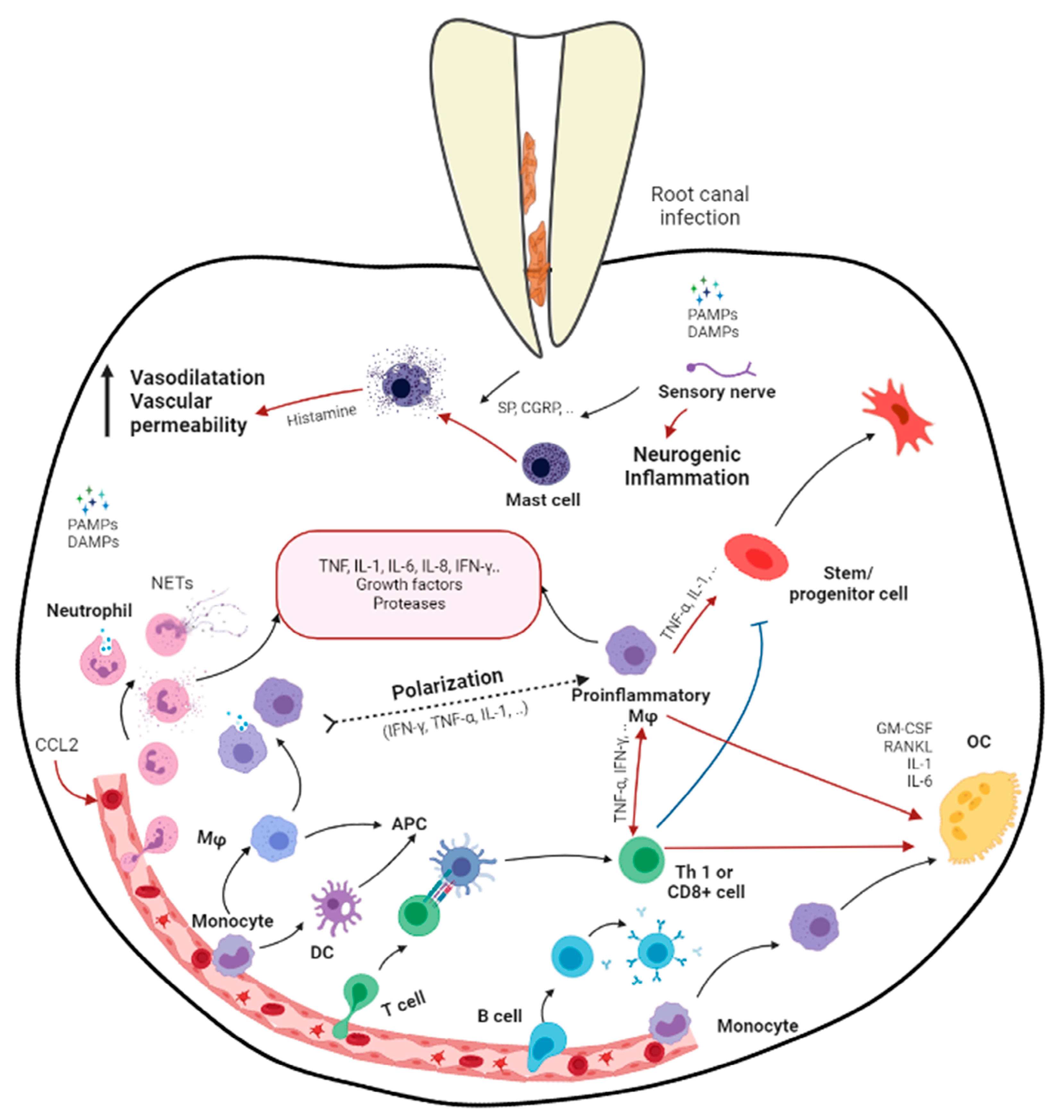 Biomolecules 13 00900 g001