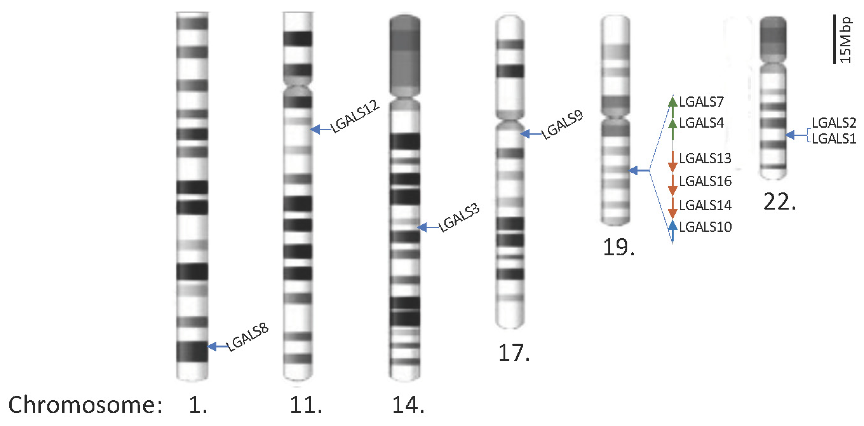 Biomolecules 13 00902 g001 Biomolecules 13 00902 g001