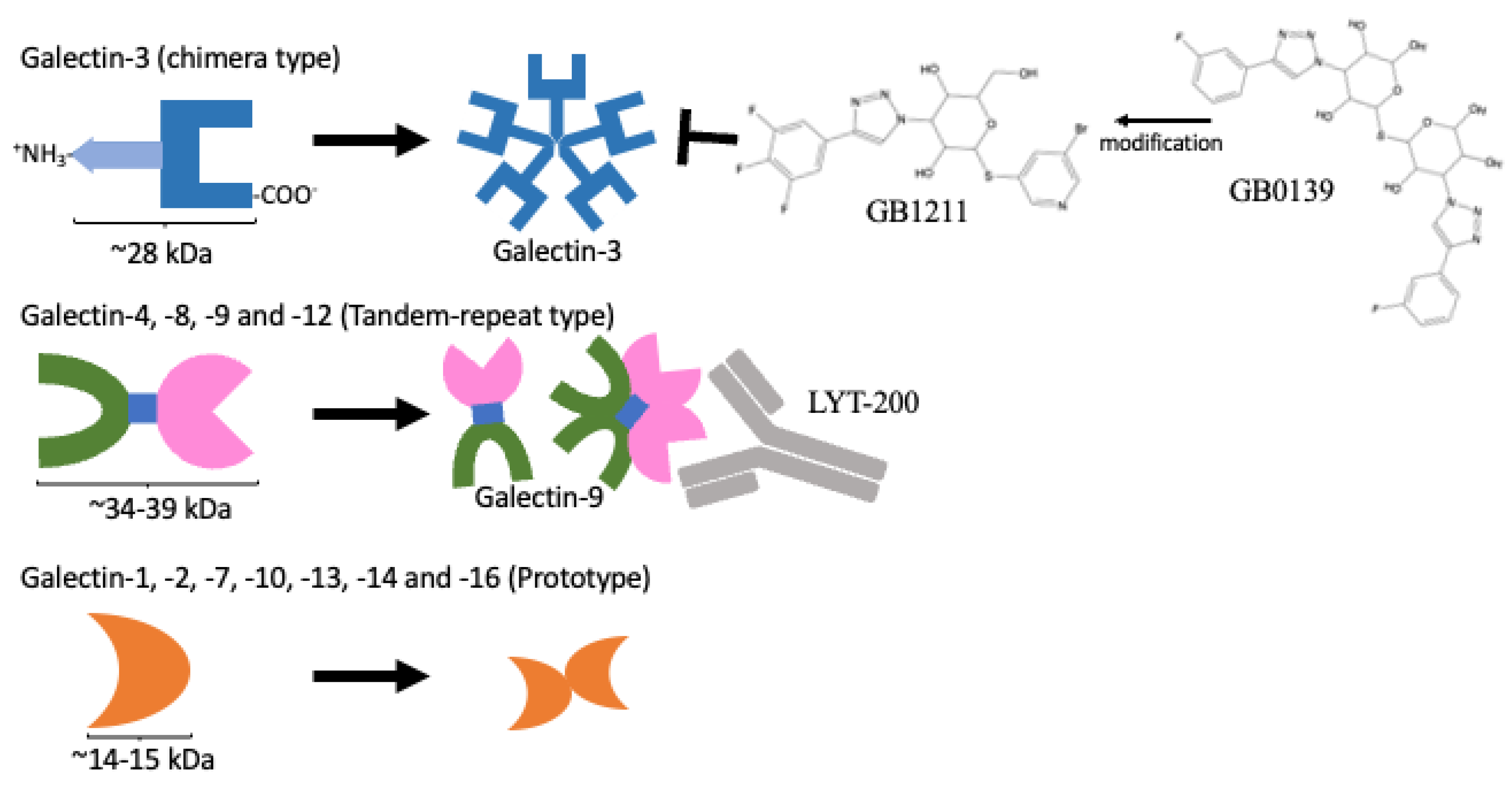 Biomolecules 13 00902 g002 Biomolecules 13 00902 g002