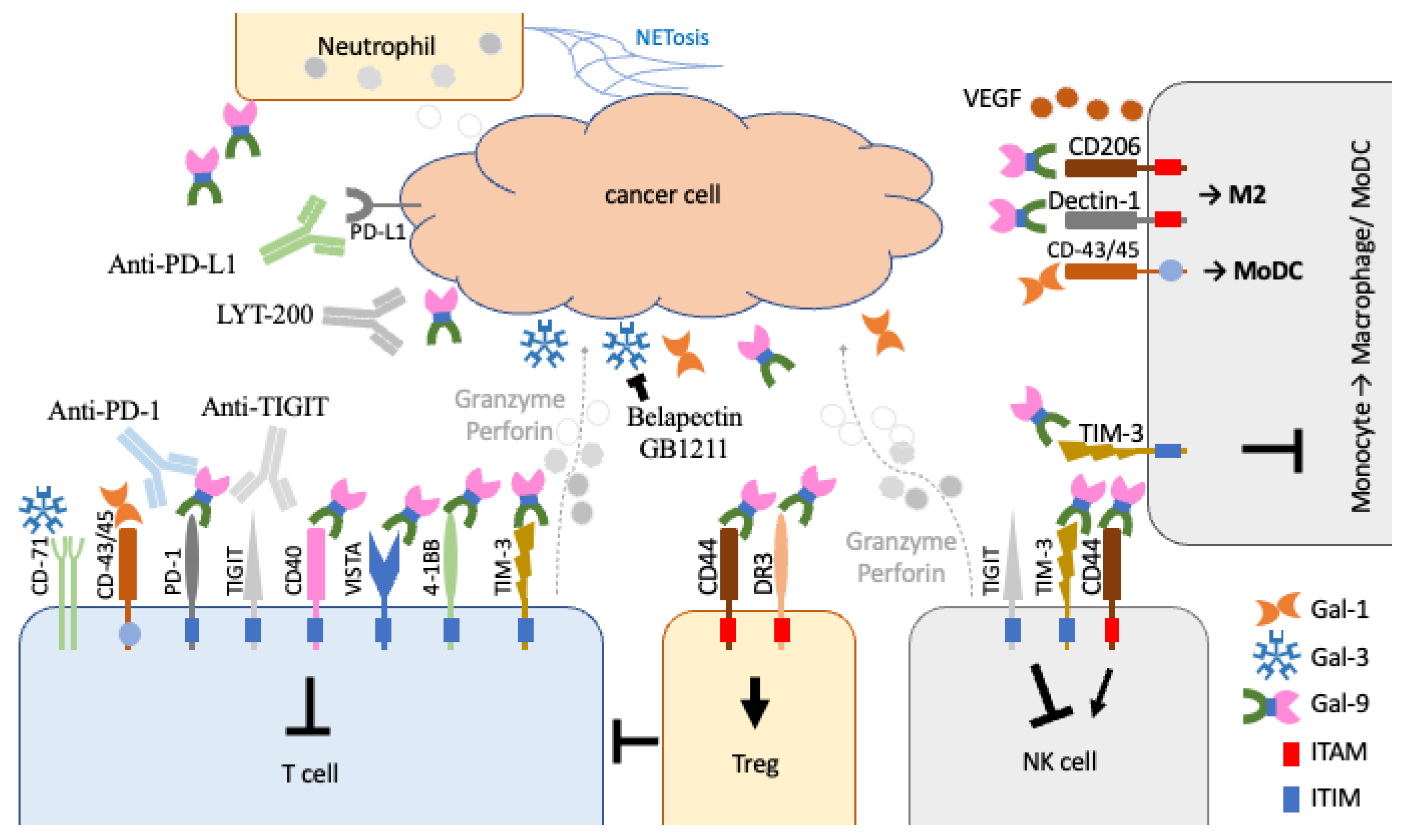 Biomolecules 13 00902 g003 Biomolecules 13 00902 g003