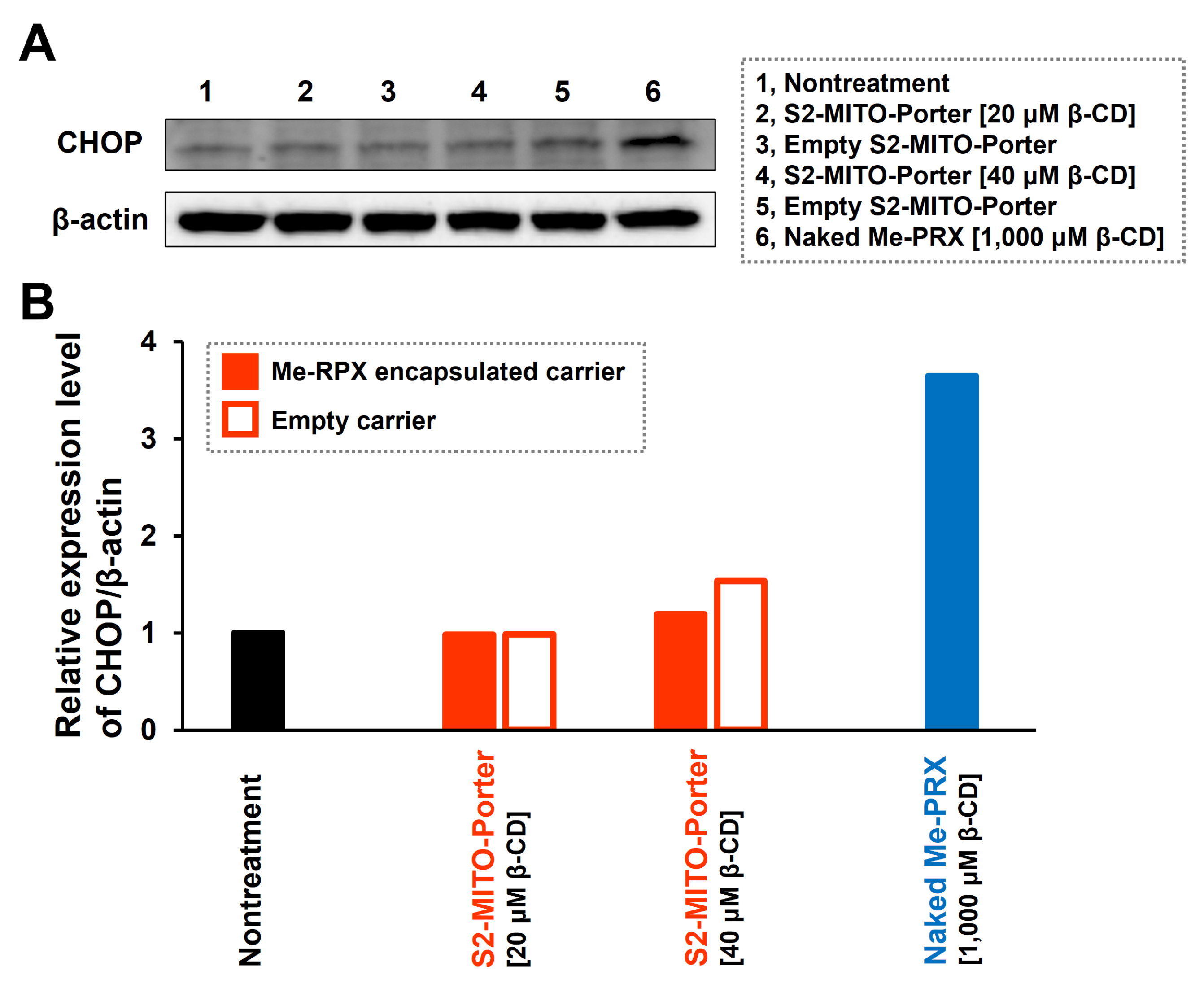 Biomolecules 13 00903 g004