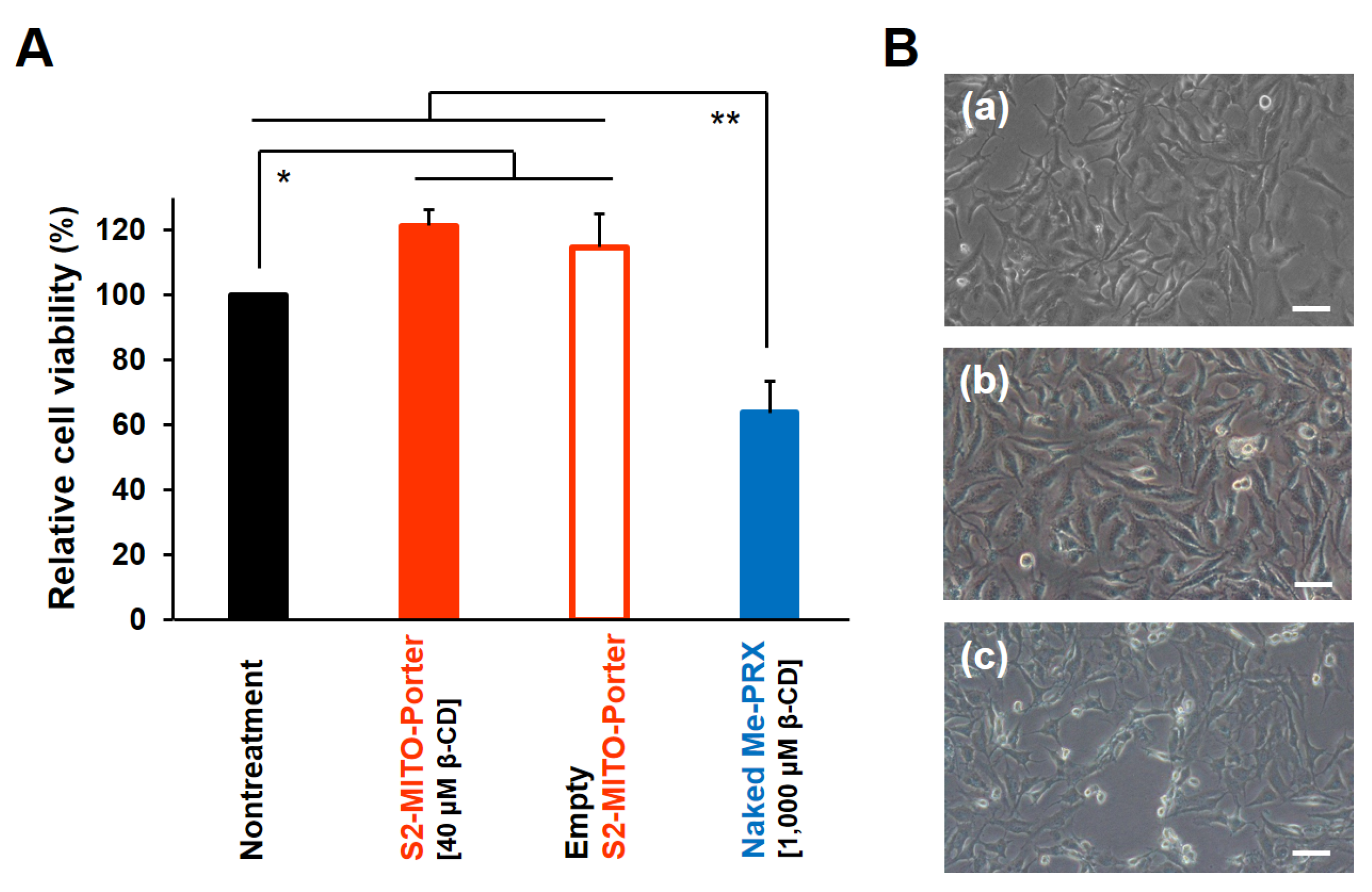 Biomolecules 13 00903 g005