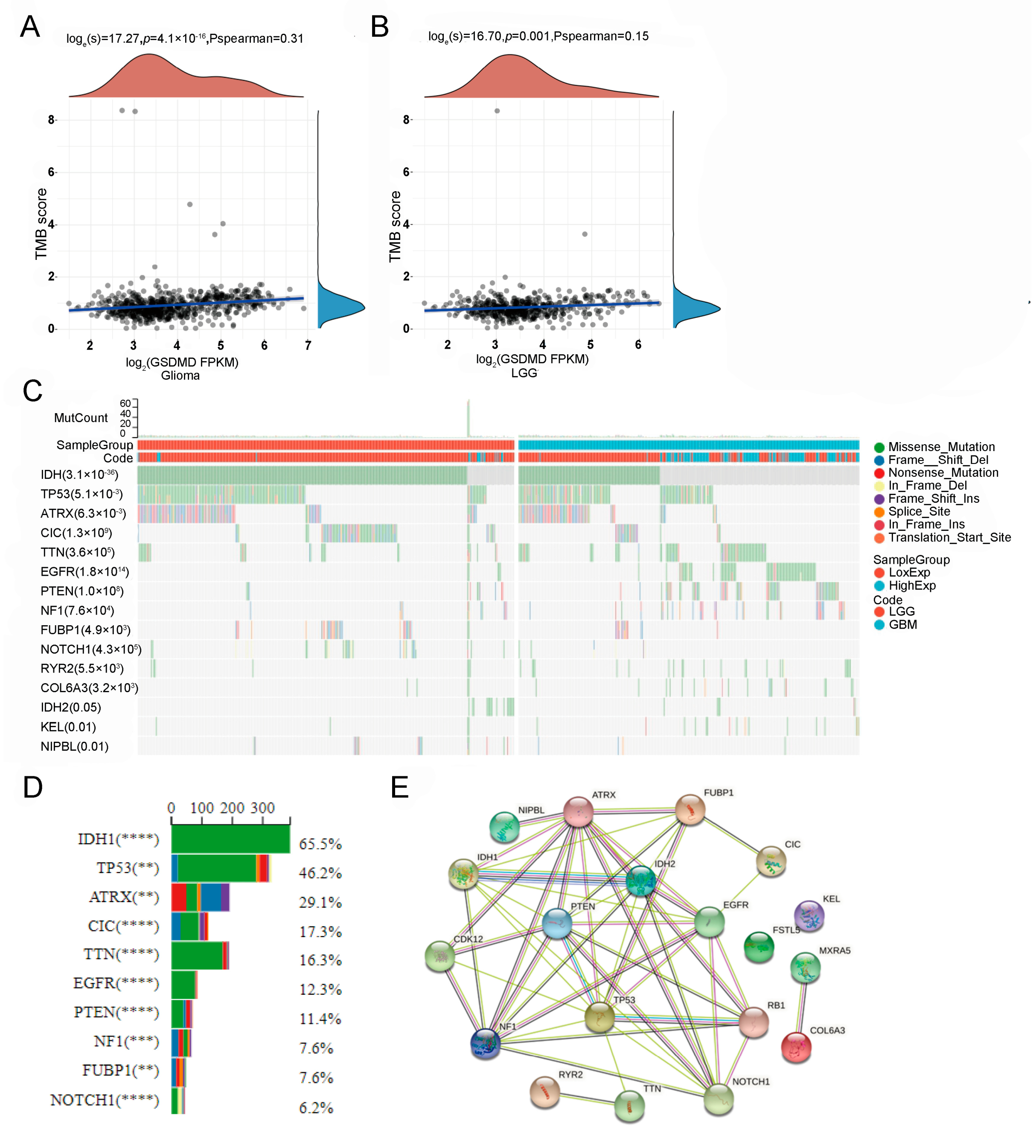 Biomolecules 13 00904 g003 Biomolecules 13 00904 g003
