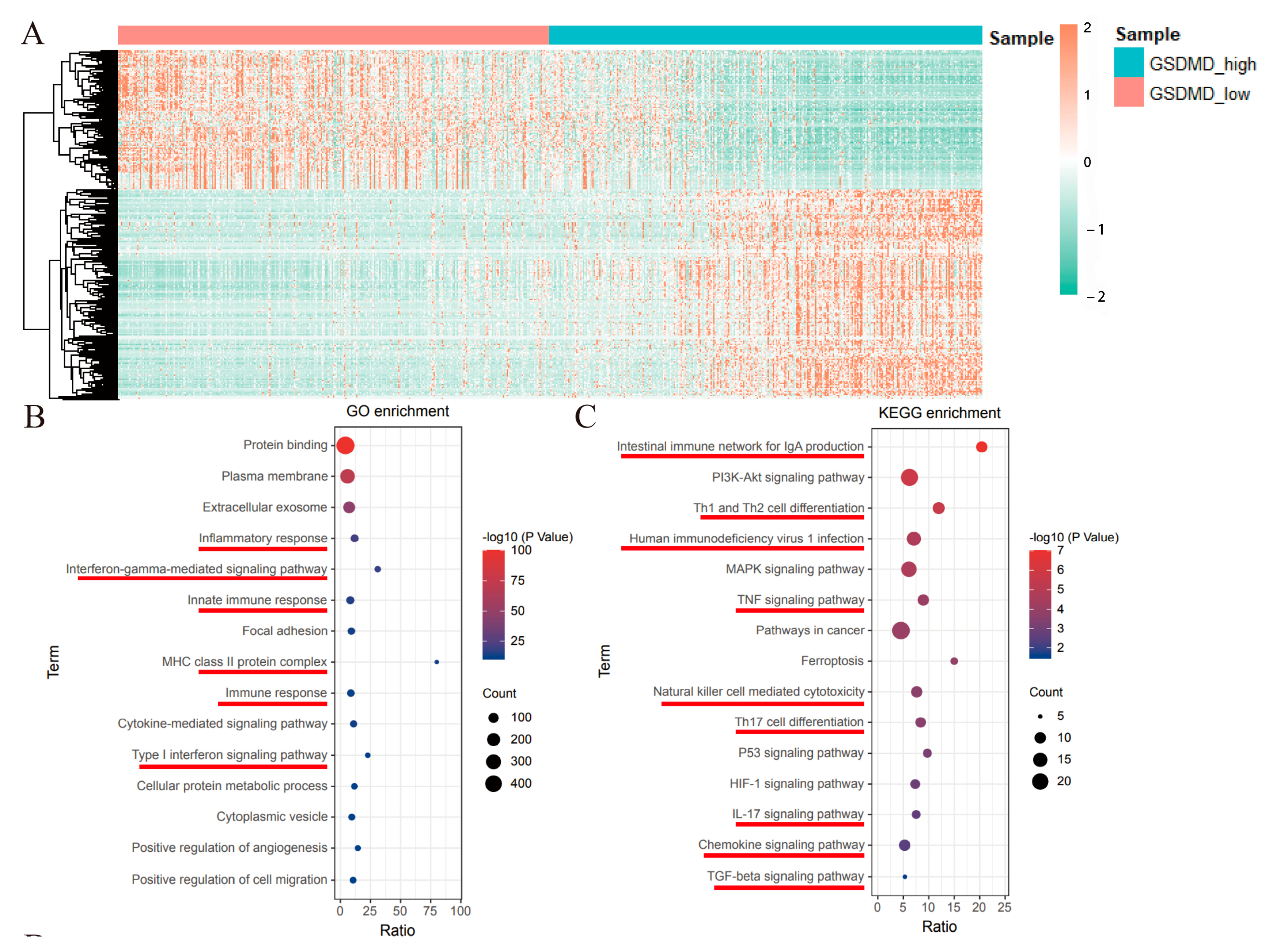 Biomolecules 13 00904 g005 Biomolecules 13 00904 g005