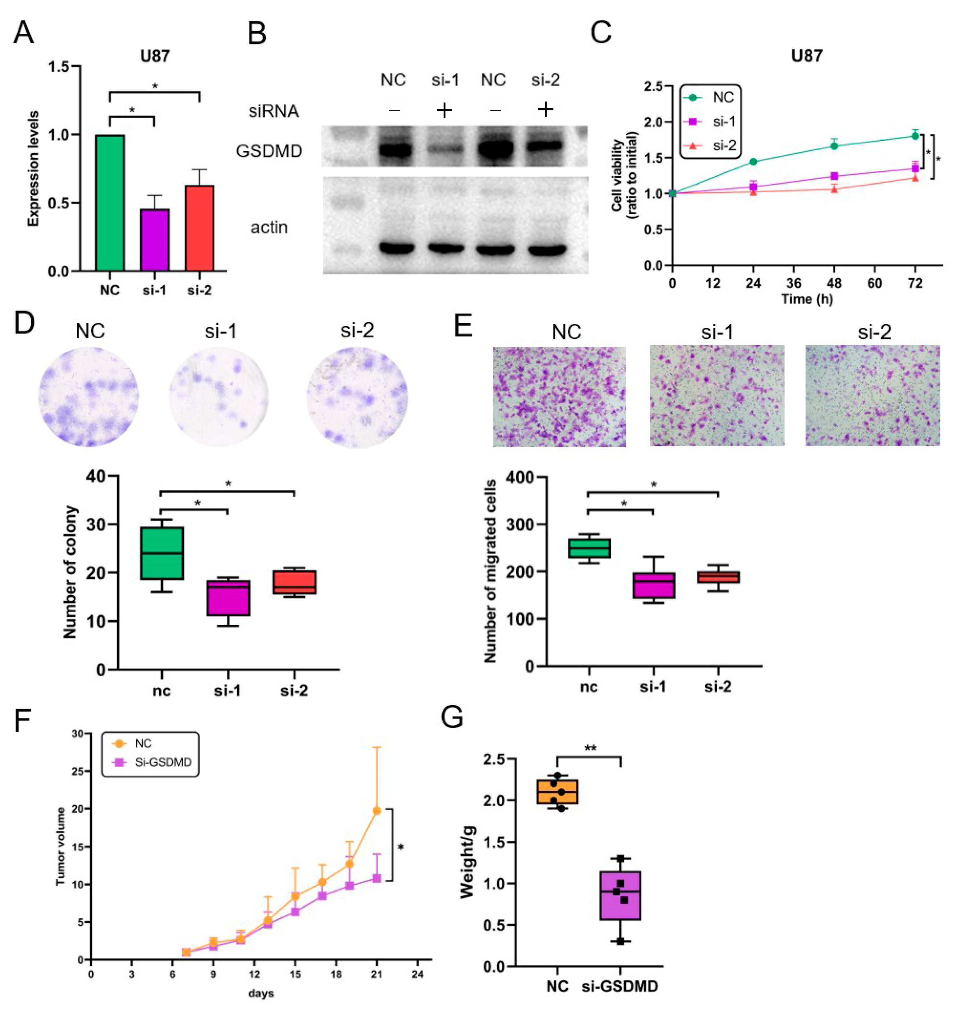 Biomolecules 13 00904 g008 Biomolecules 13 00904 g008