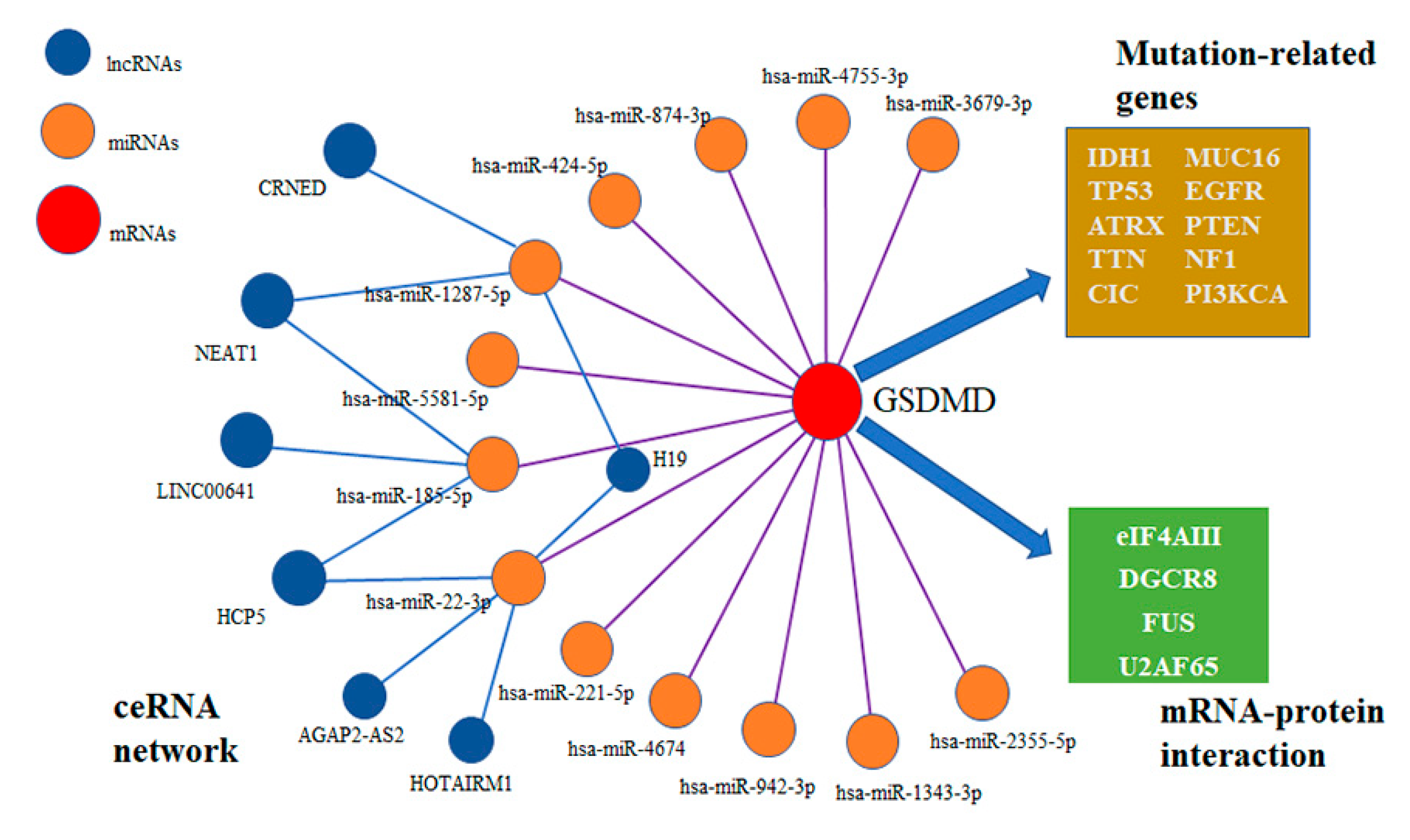 Biomolecules 13 00904 g009 Biomolecules 13 00904 g009