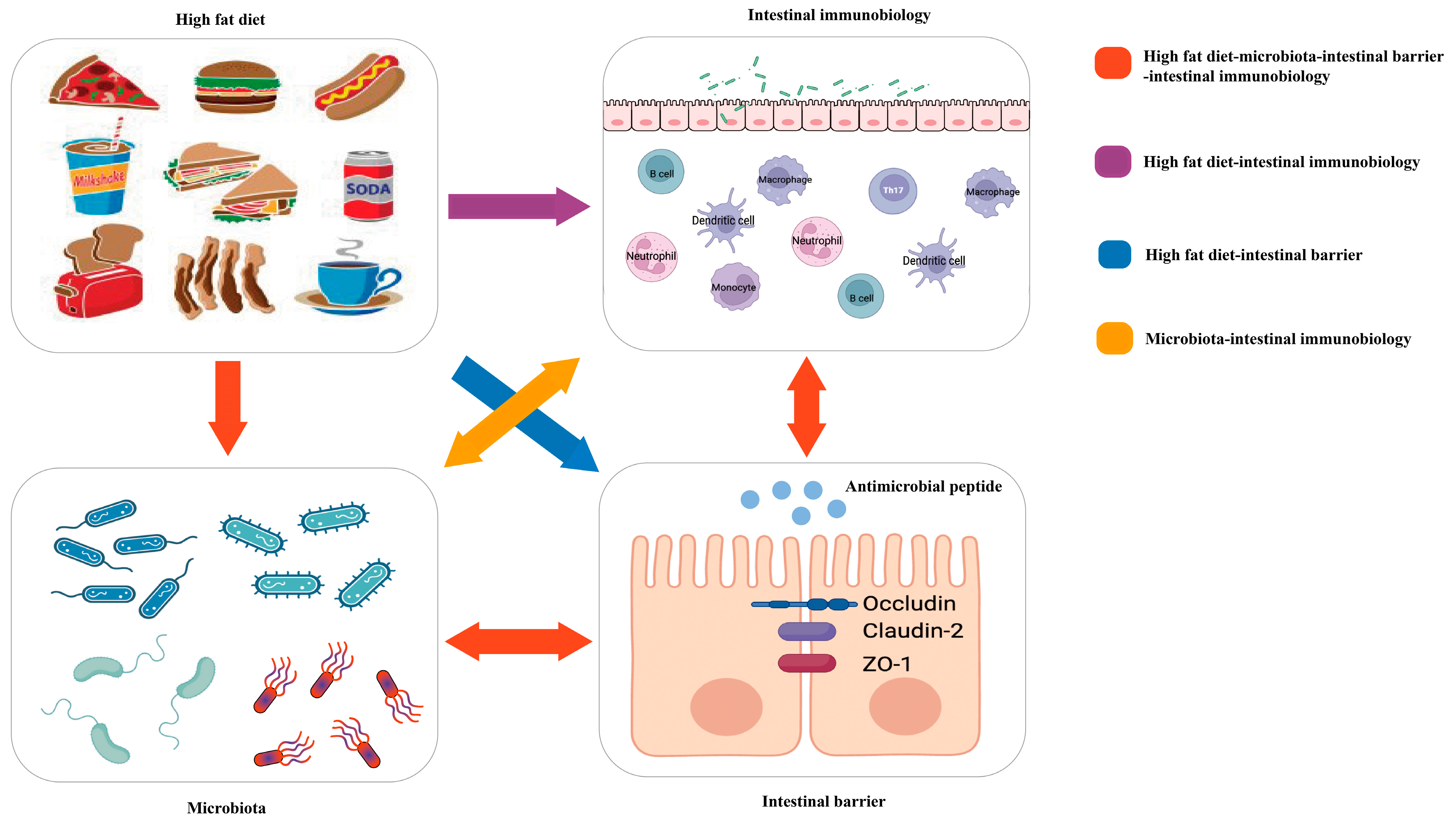 Biomolecules 13 00905 g001