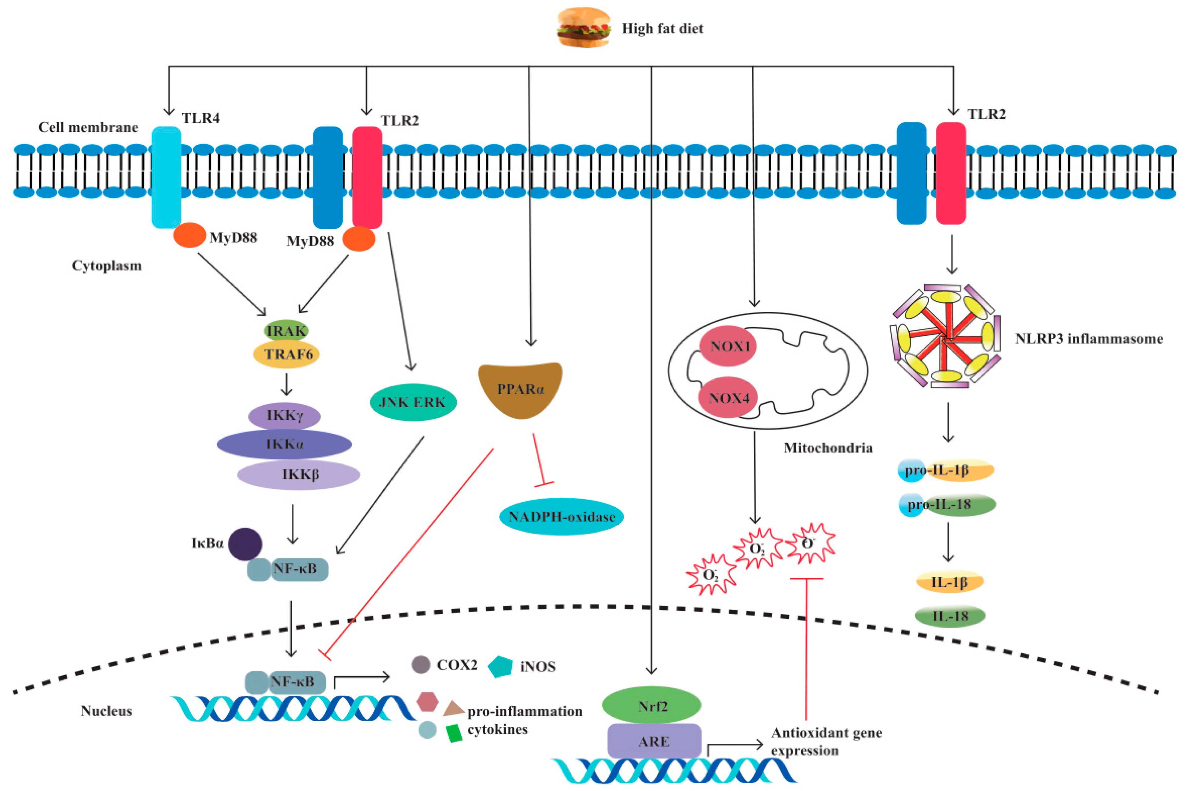 Biomolecules 13 00905 g003