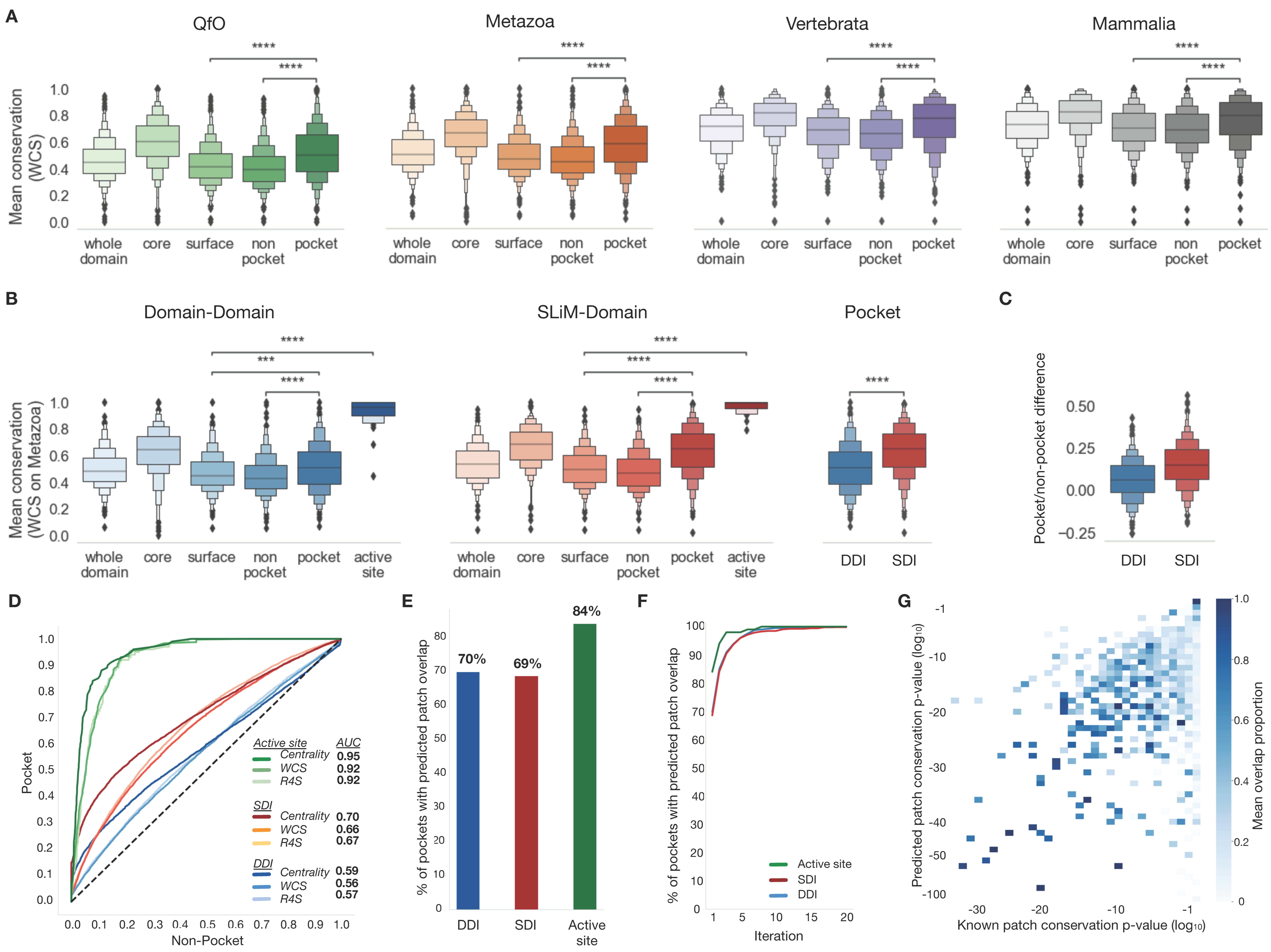 Biomolecules 13 00906 g002