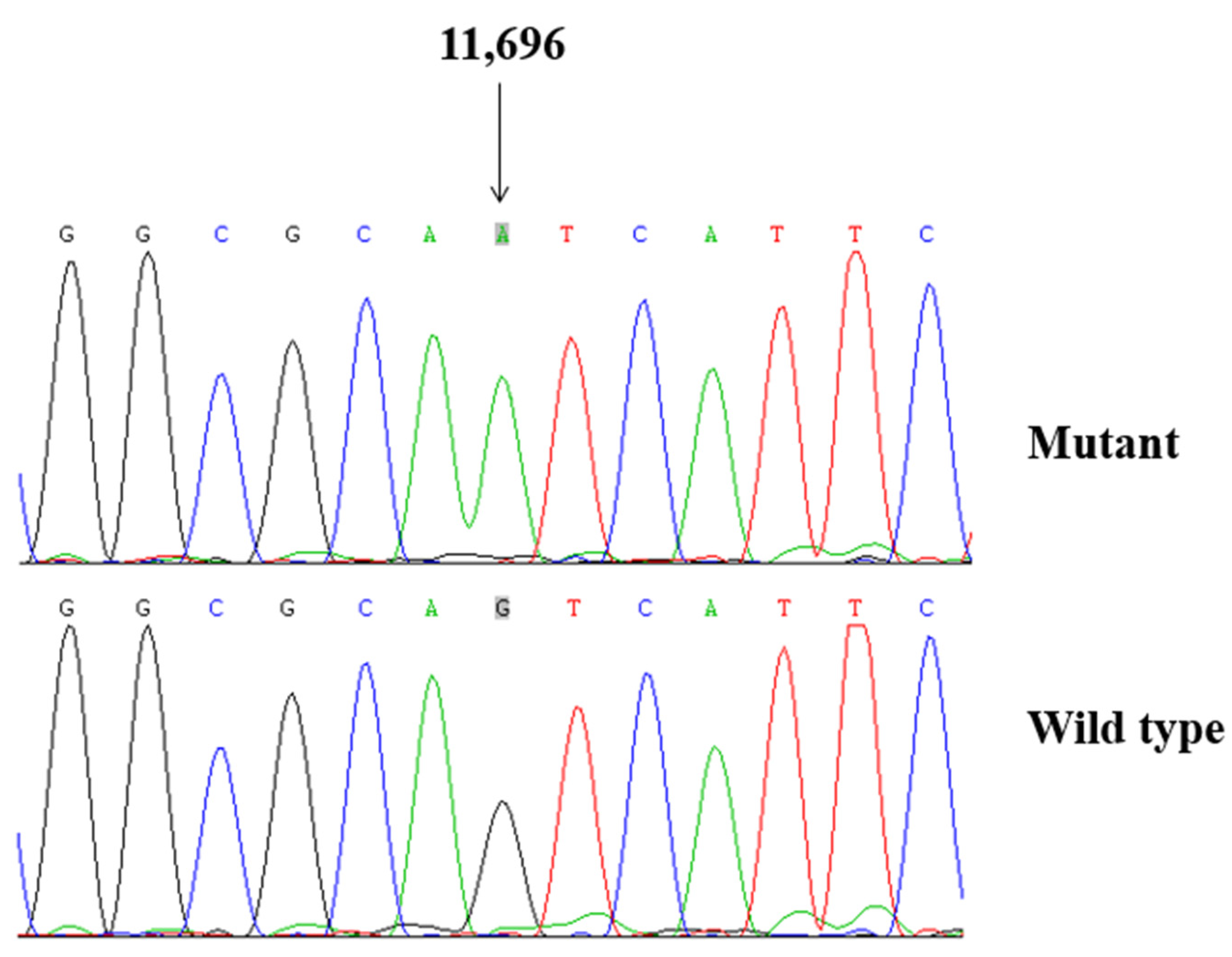 Biomolecules 13 00907 g002