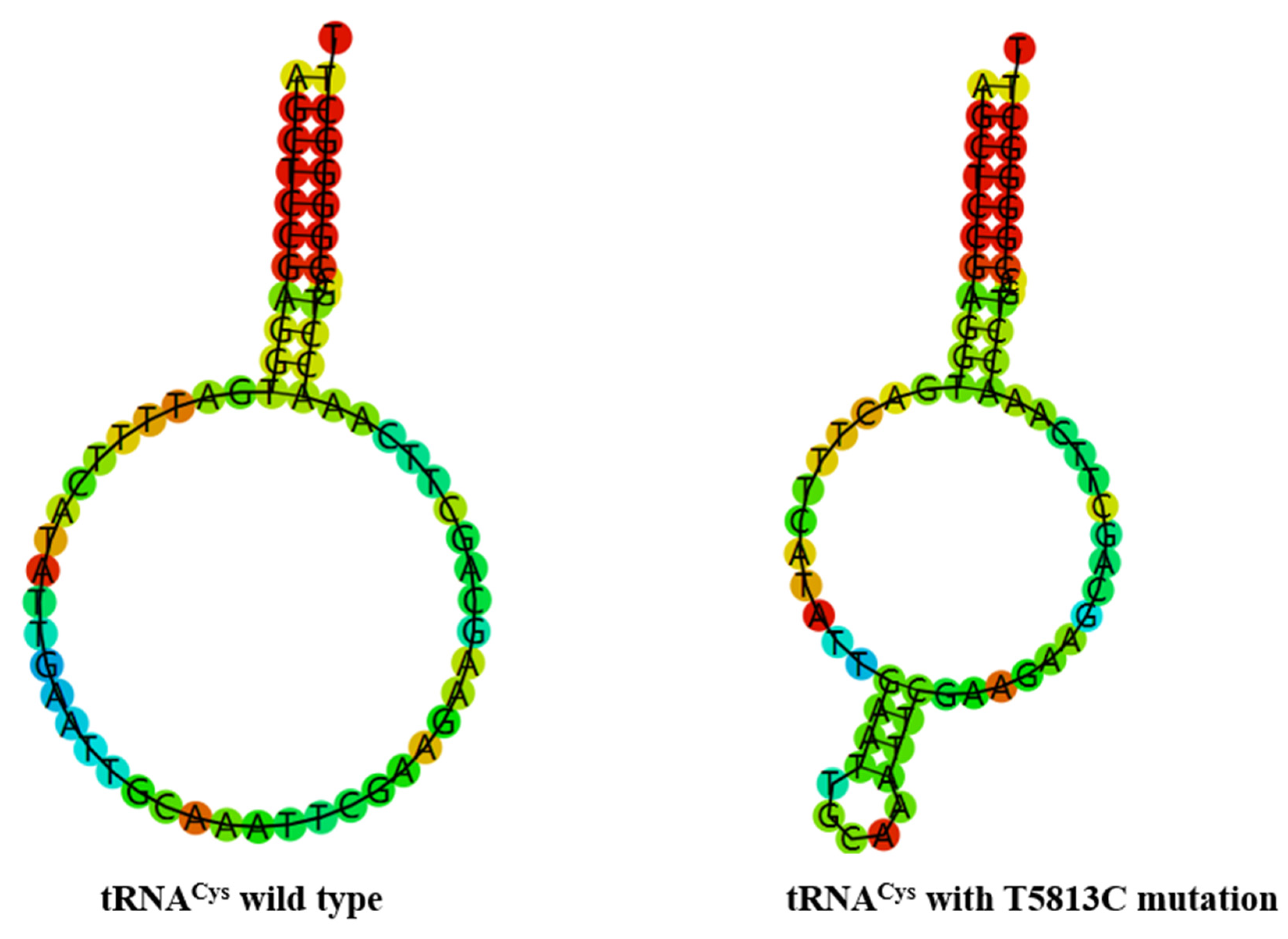 Biomolecules 13 00907 g005