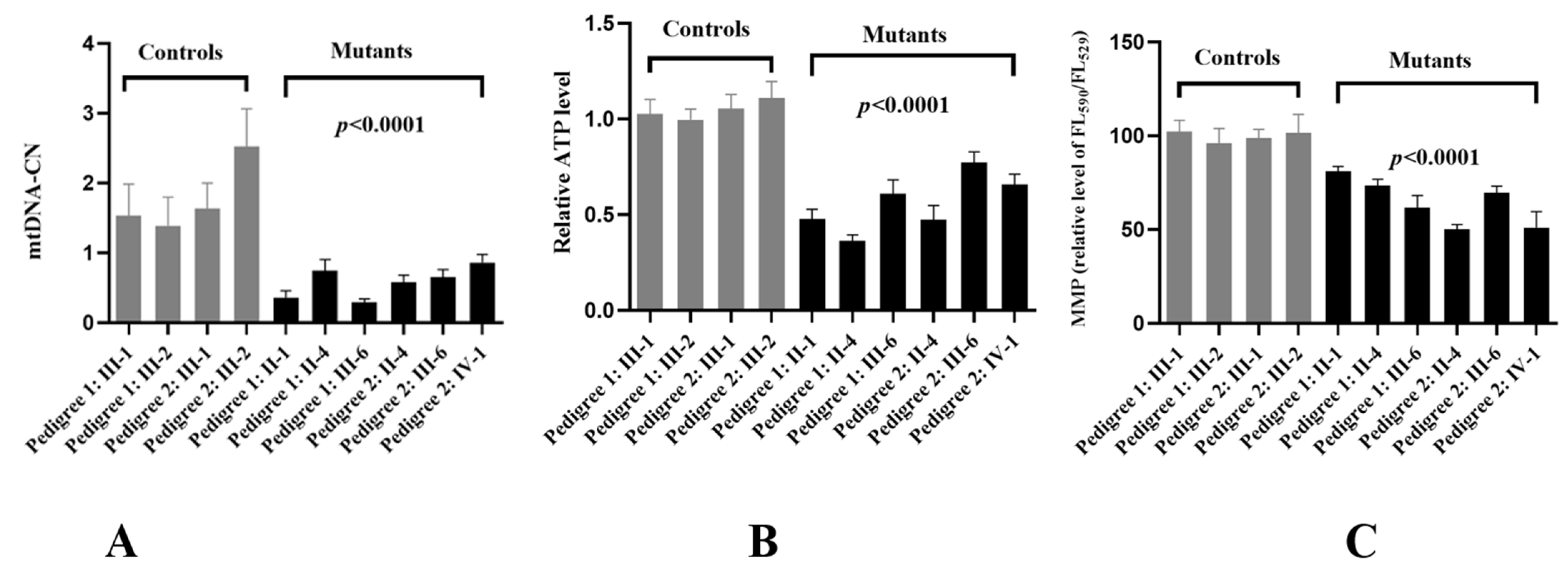 Biomolecules 13 00907 g006