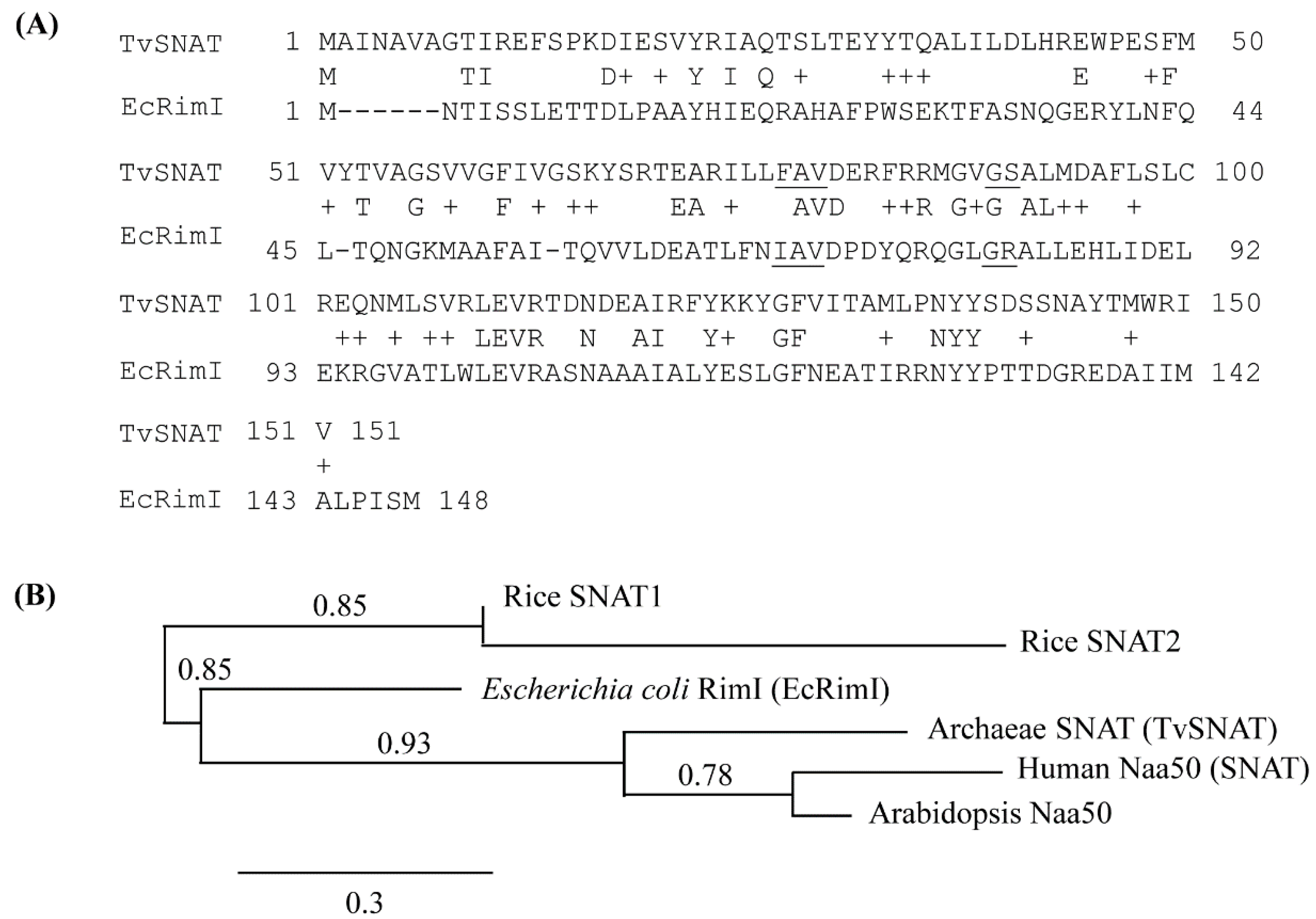 Biomolecules 13 00908 g001