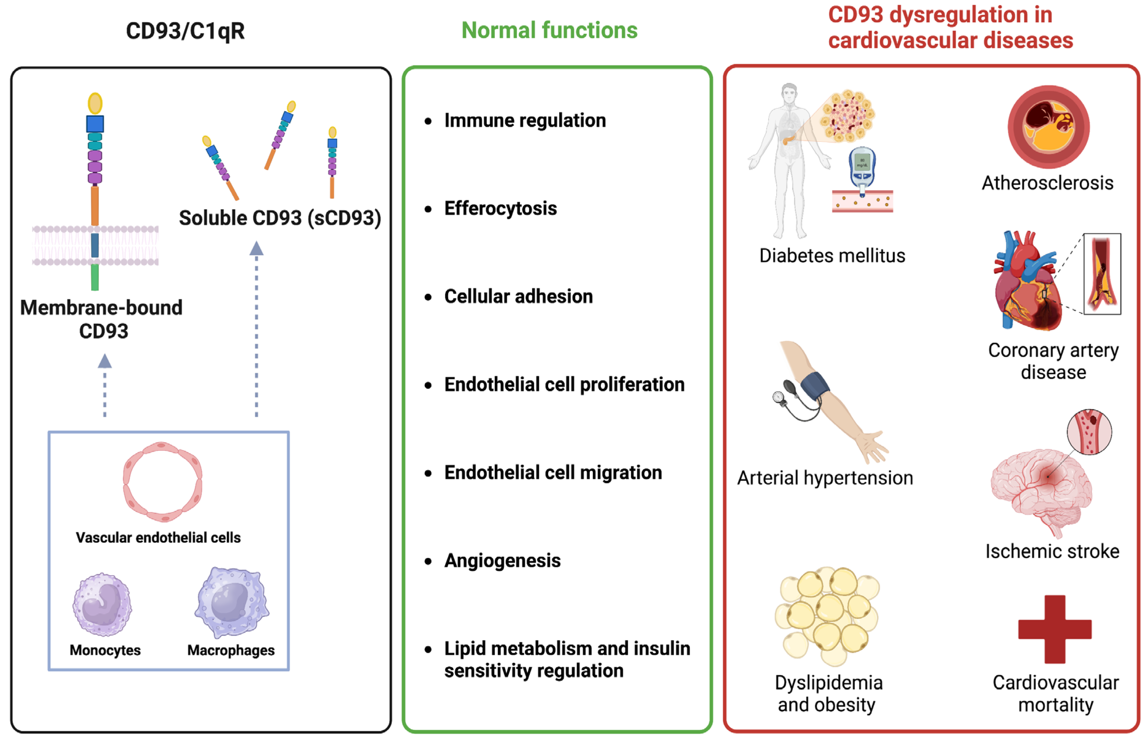Biomolecules 13 00910 g002