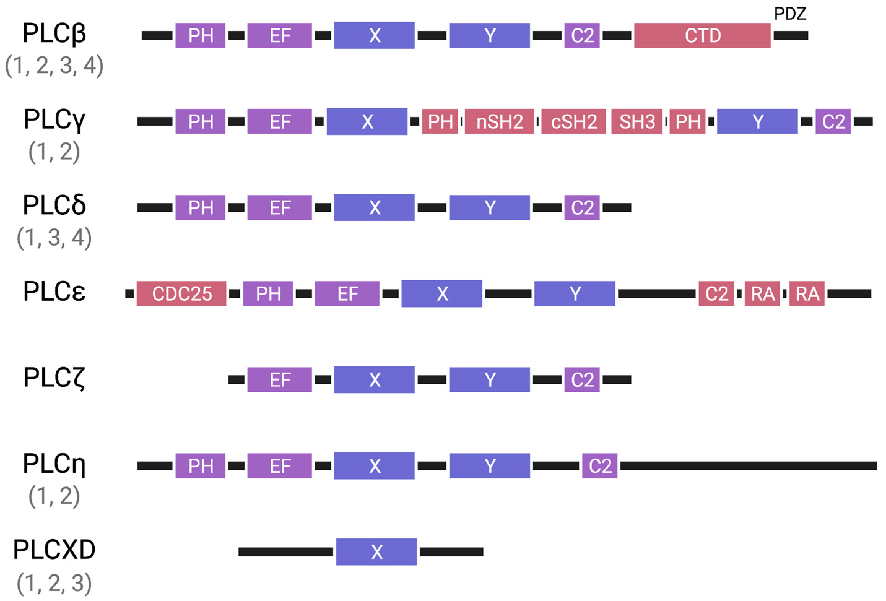 Biomolecules 13 00915 g001
